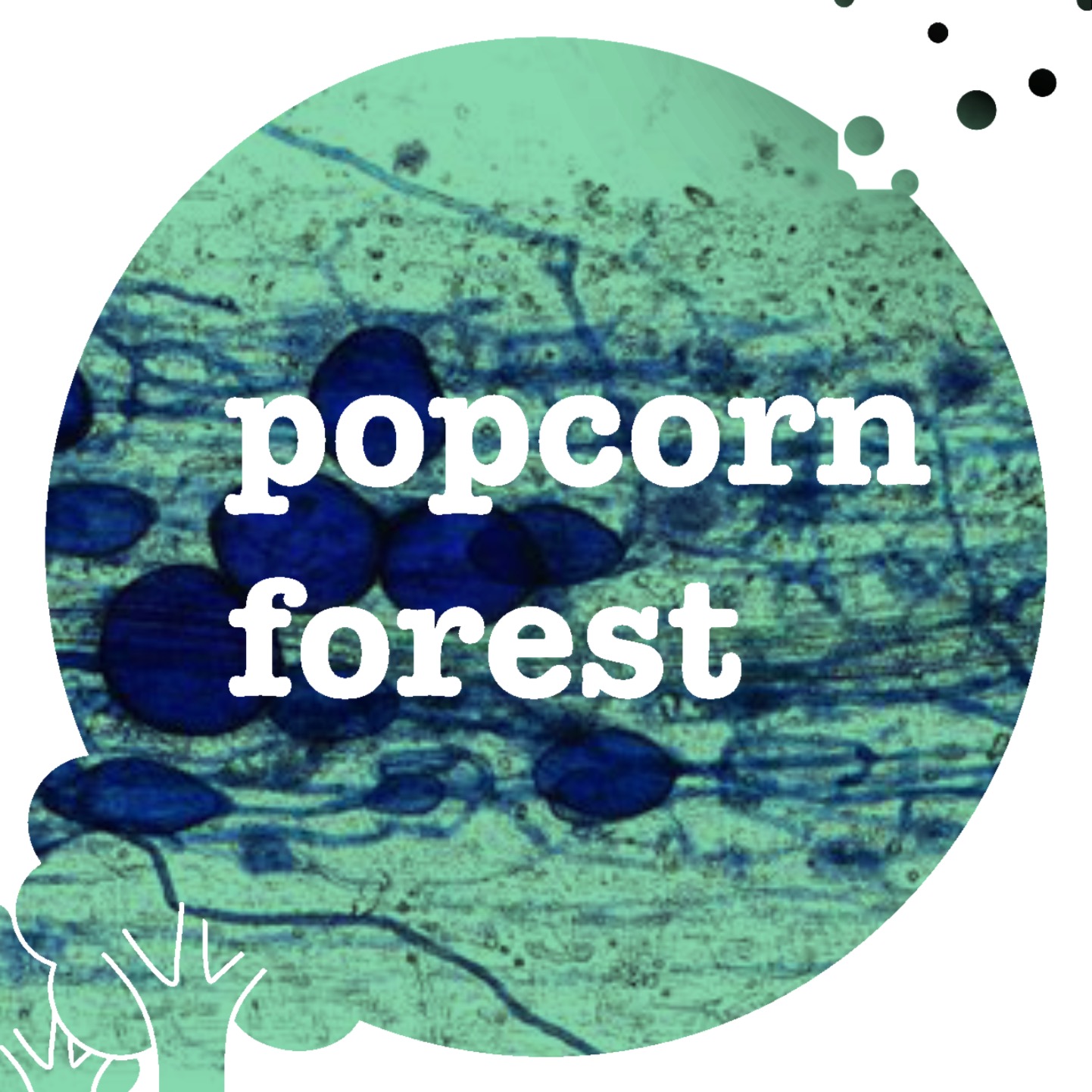 Popcorn Forest
