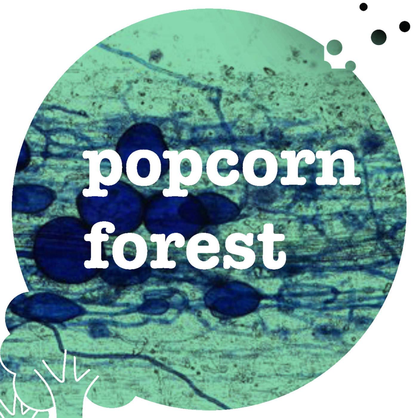 Popcorn Forest