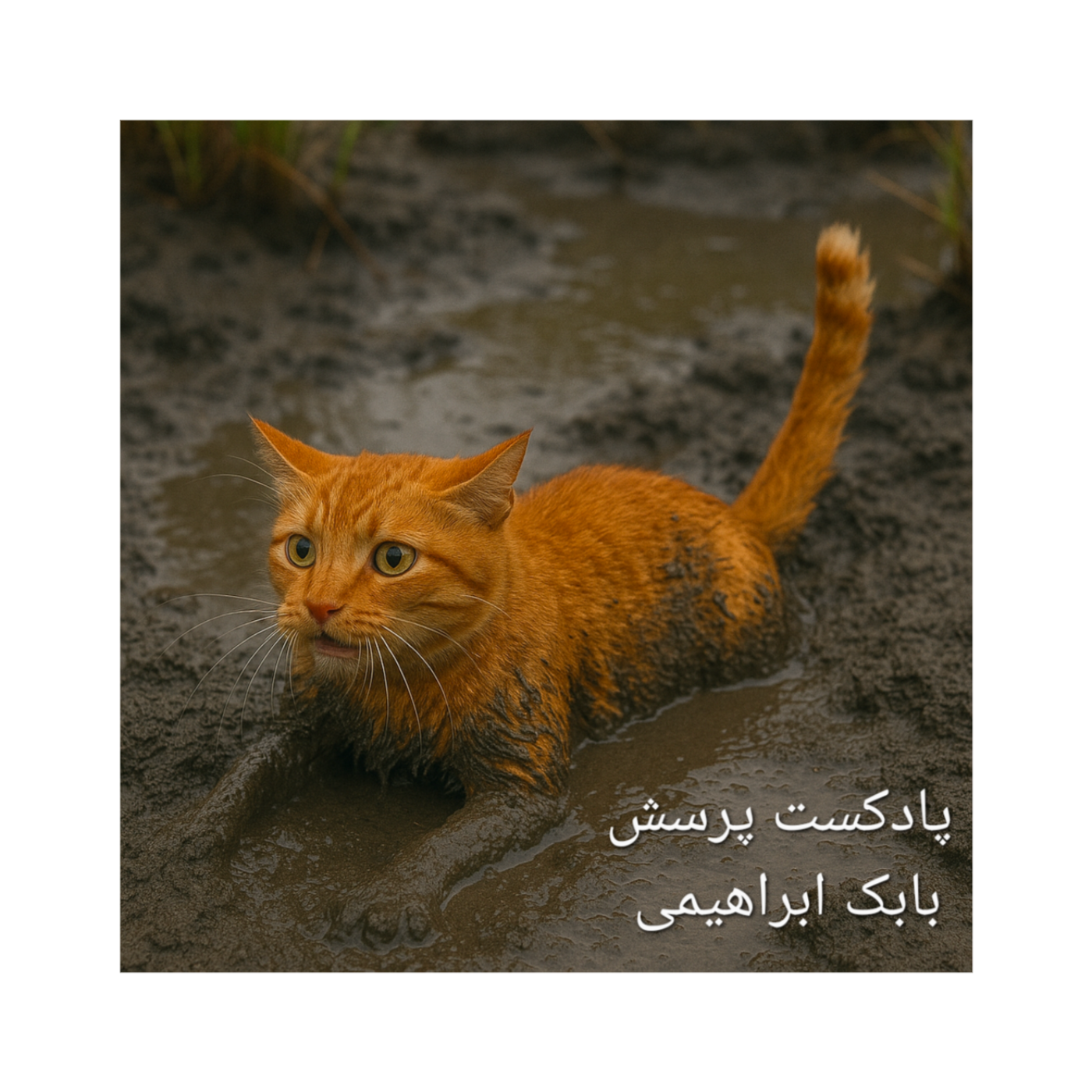 گزینه‌های ایران