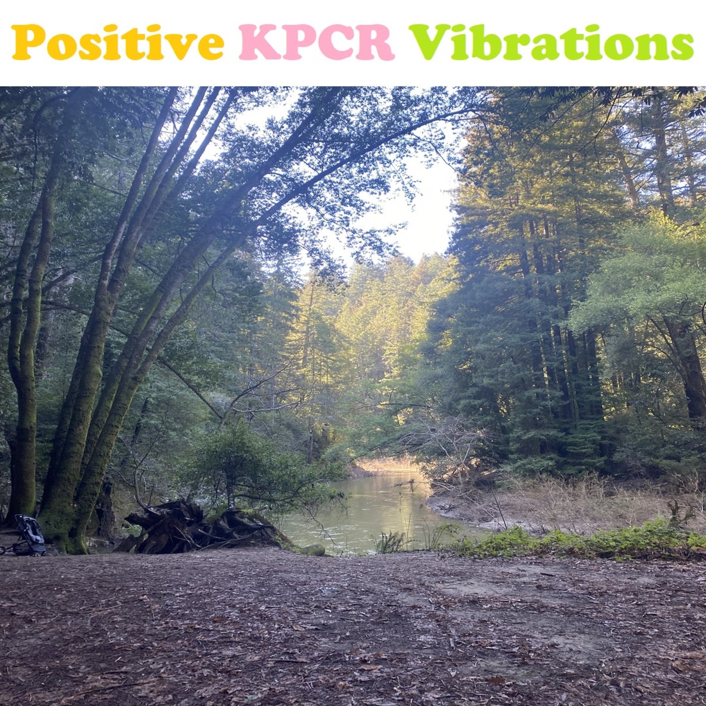 Positive Vibrations