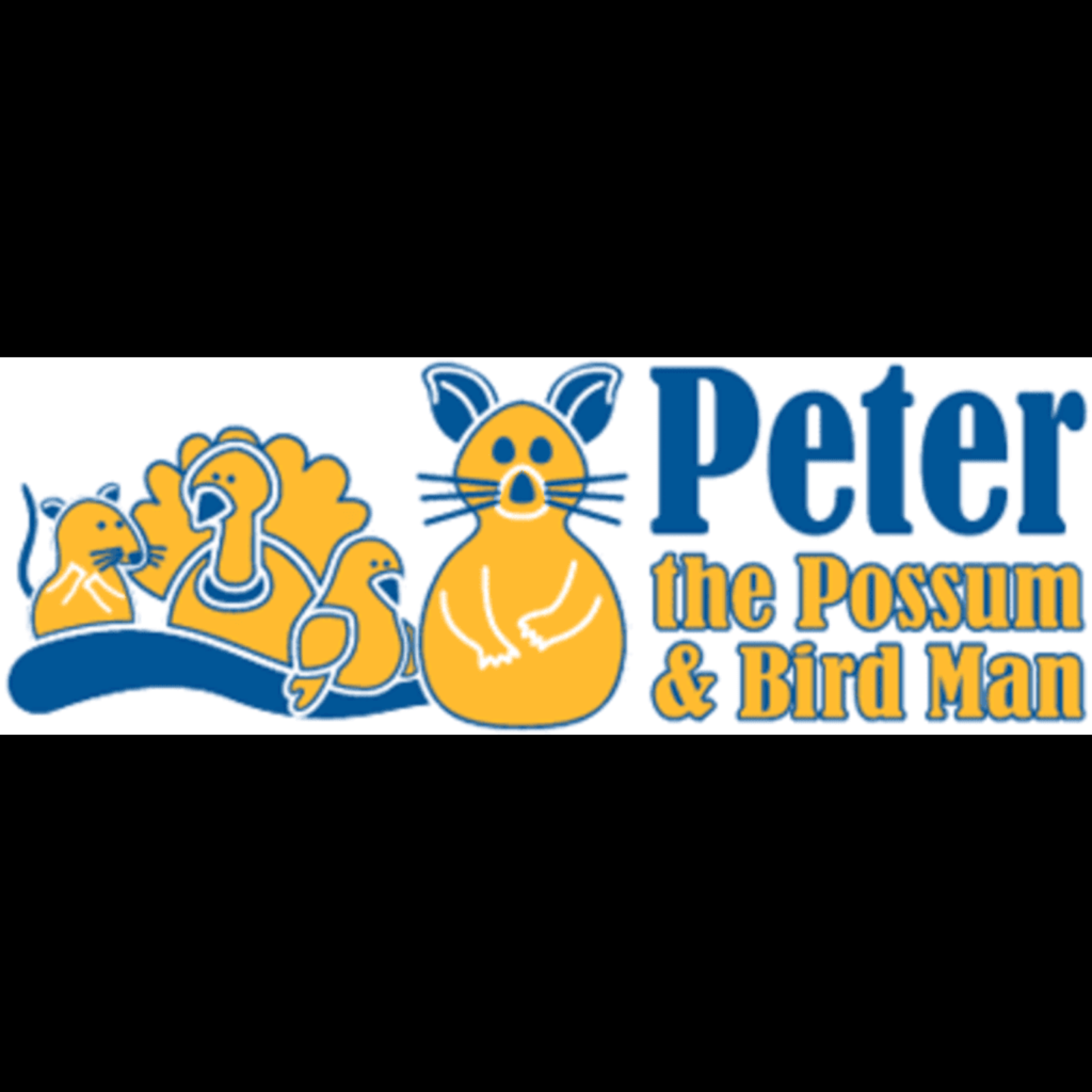 Possum Removal Brisbane