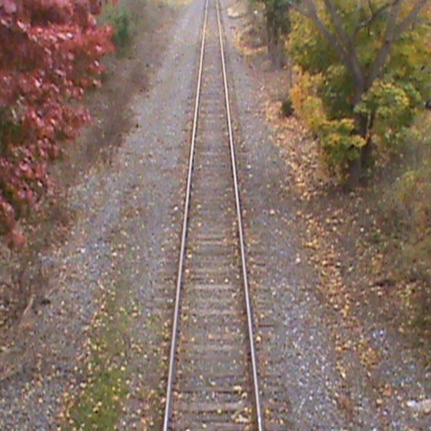 Wokestown w/ Gunton Blurpus