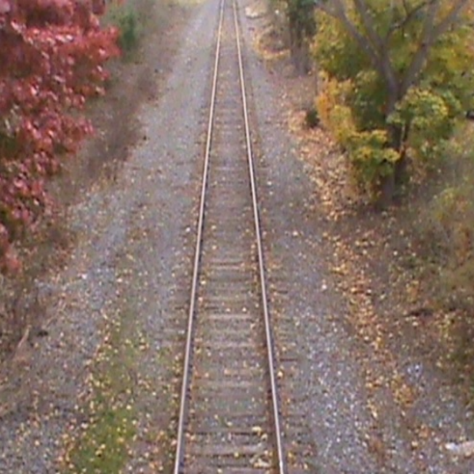 Virgina is For Lovers w/ Ben Braddock