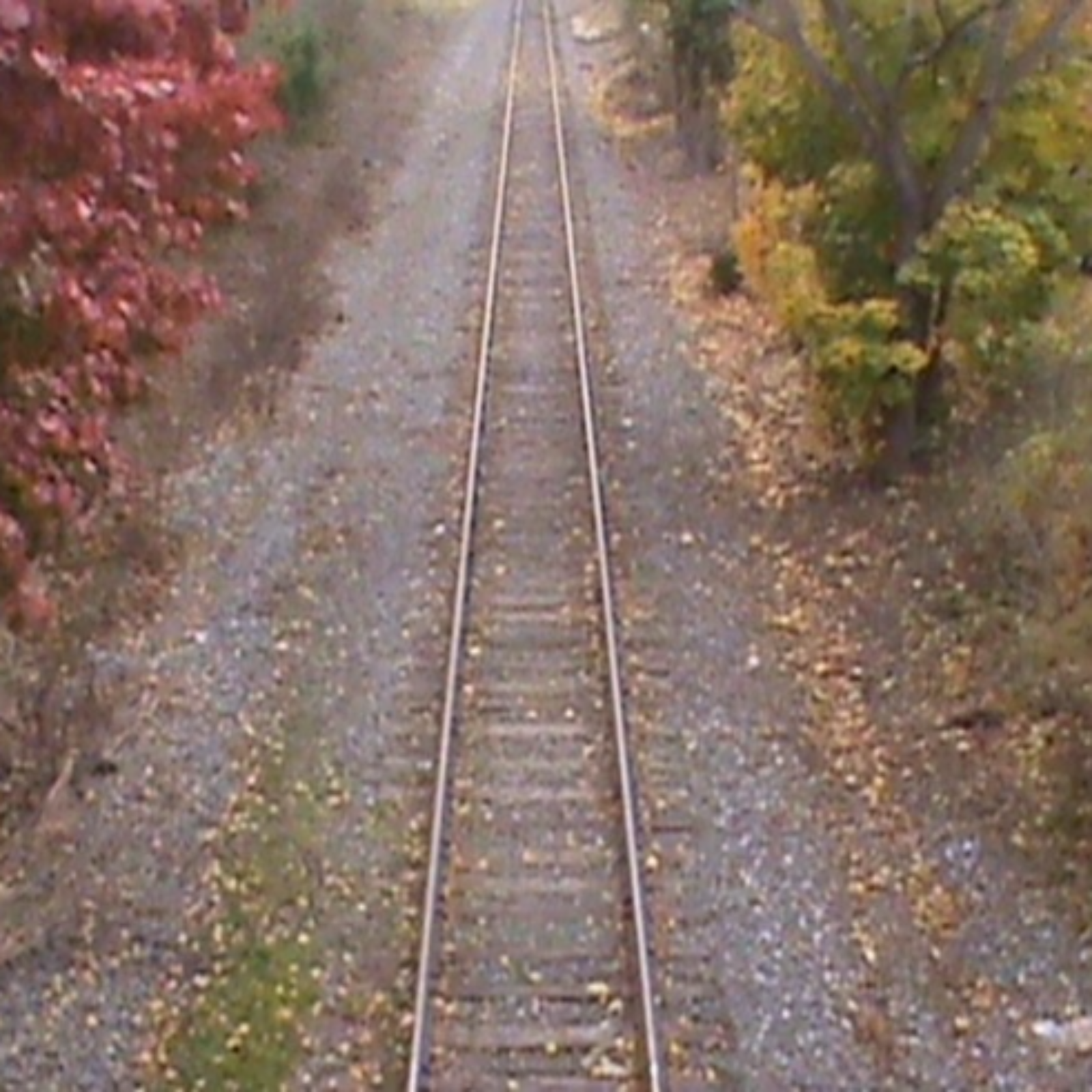 Four Neo-Pagan Movies w/ Gunton Blurpus