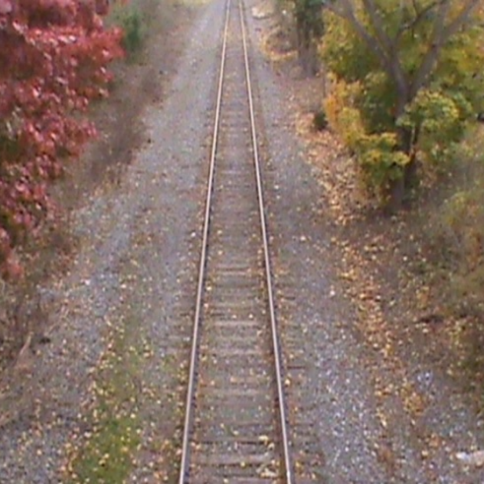 The Murder of Sheridan Gorman w/ Rachel Siegel