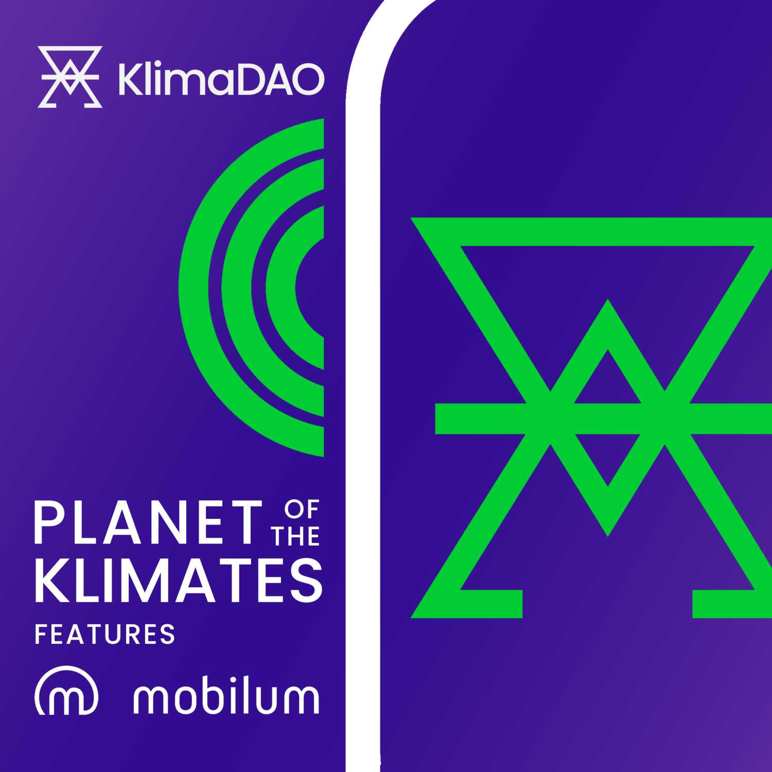 Anik & Wojtek - CCO & CEO of Mobilum