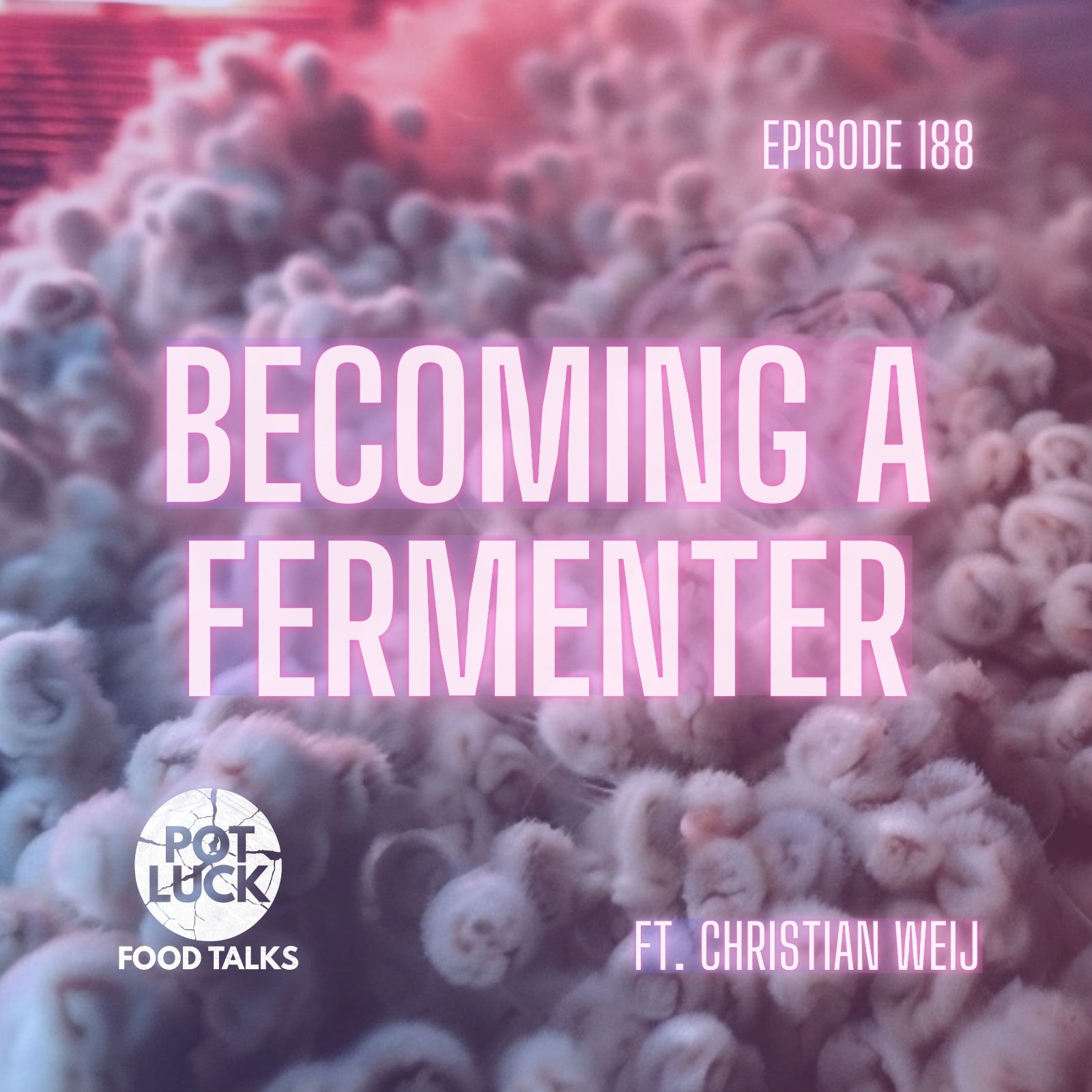 9 Flavors vs 400: The Miso Science Behind Every Great Kitchen Ft. Fermentation Specialist Christian Weij