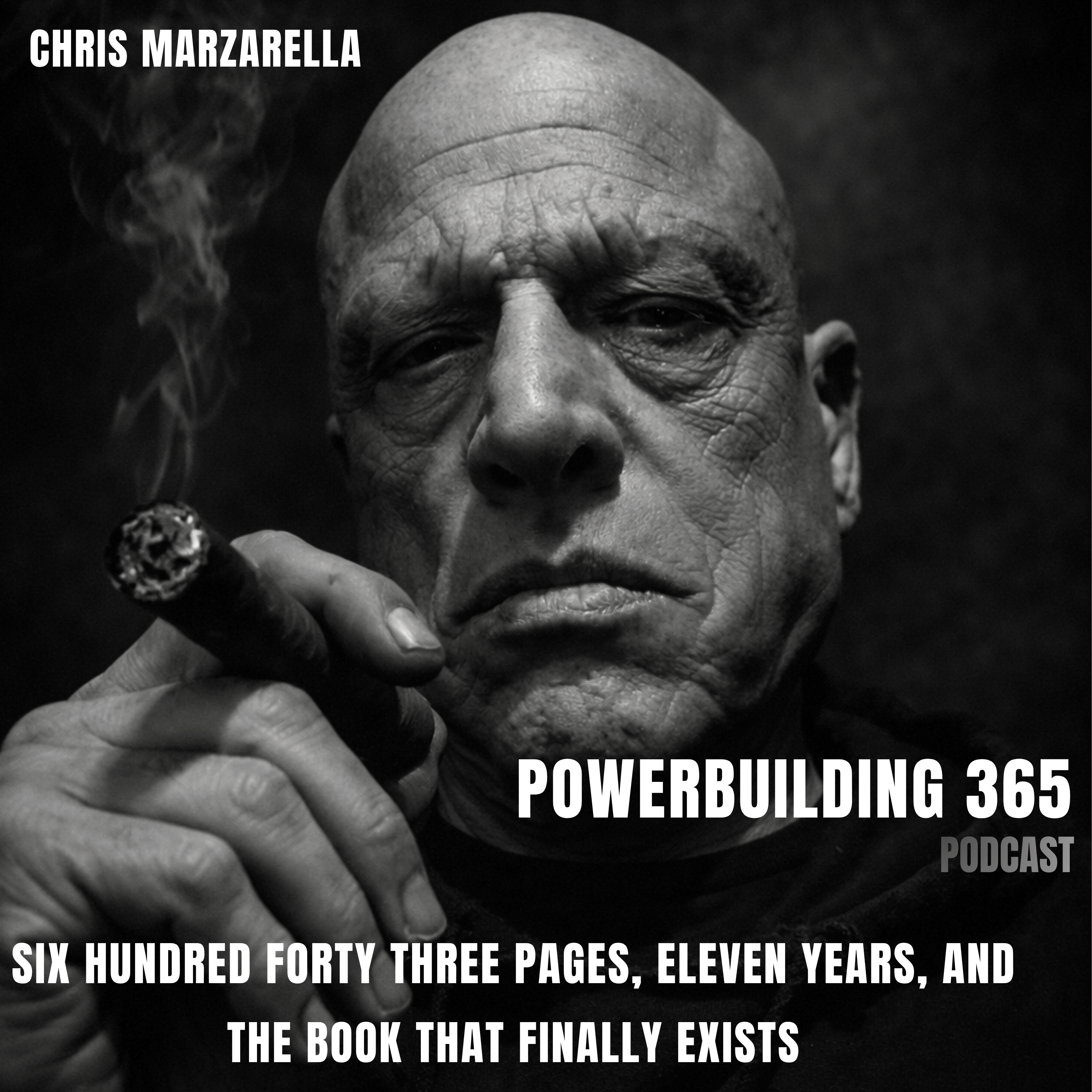 Six Hundred Forty Three Pages, Eleven Years, and the Book That Finally Exists episode artwork