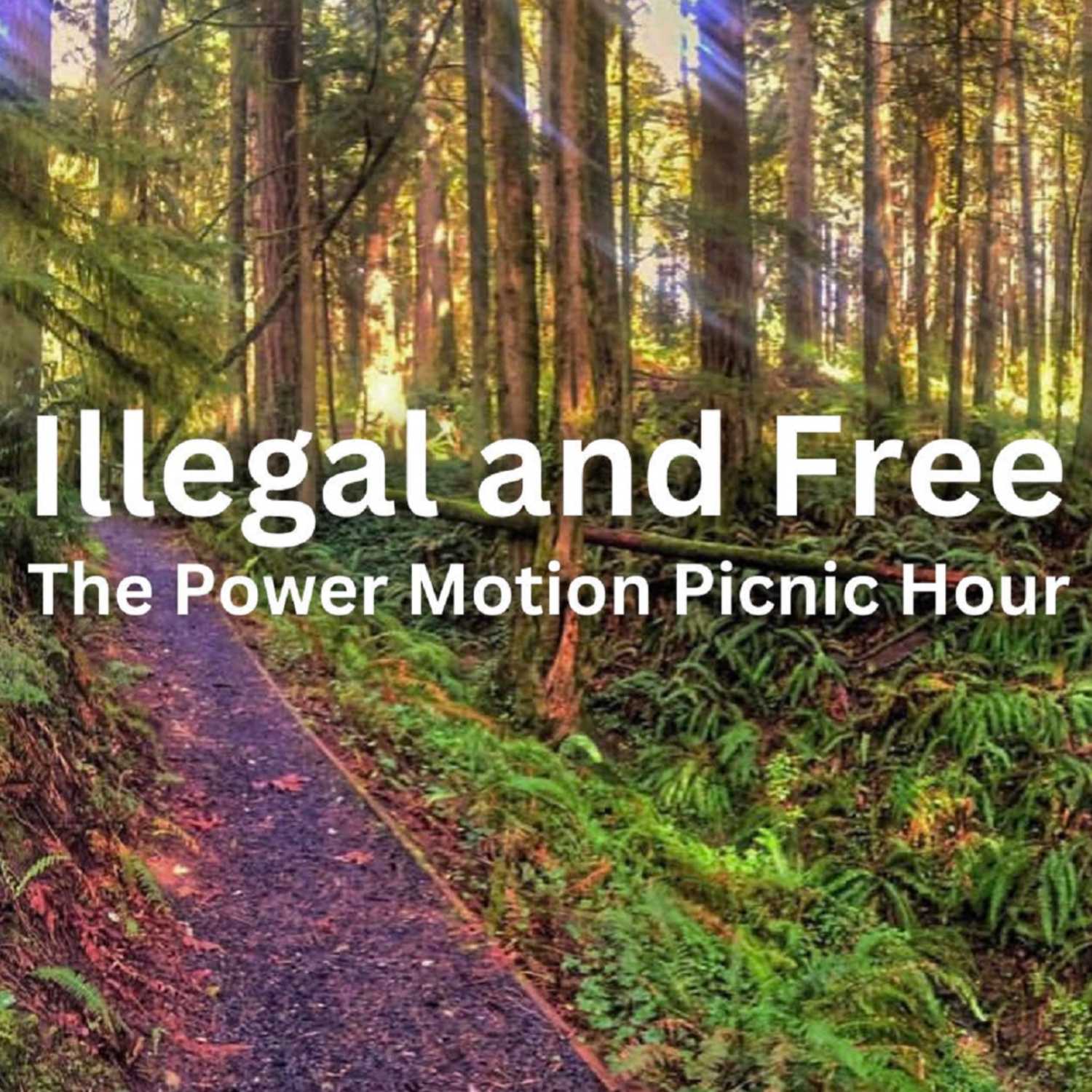 The Power Motion Picnic Hour