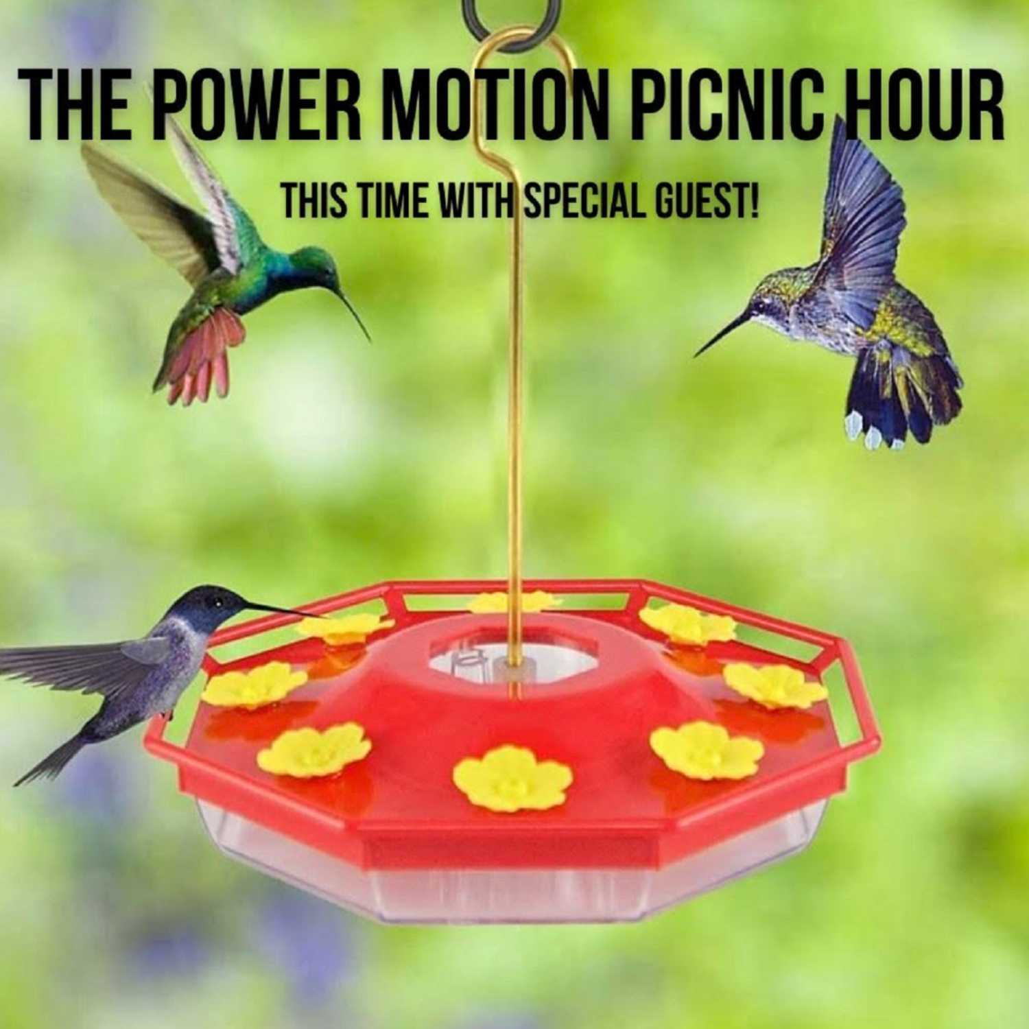 The Power Motion Picnic Hour