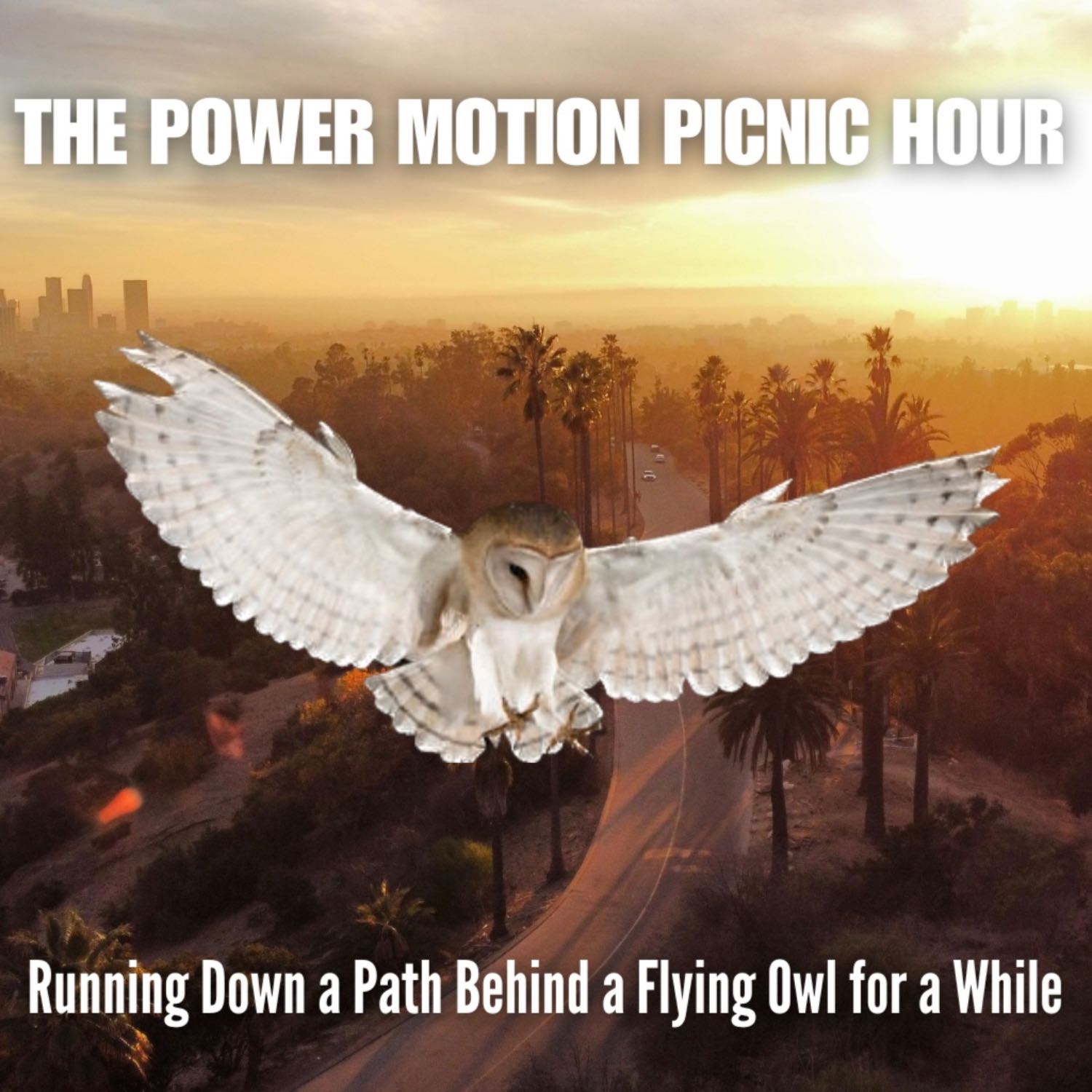 The Power Motion Picnic Hour