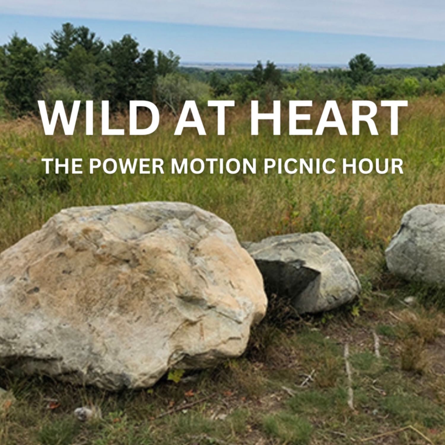 The Power Motion Picnic Hour