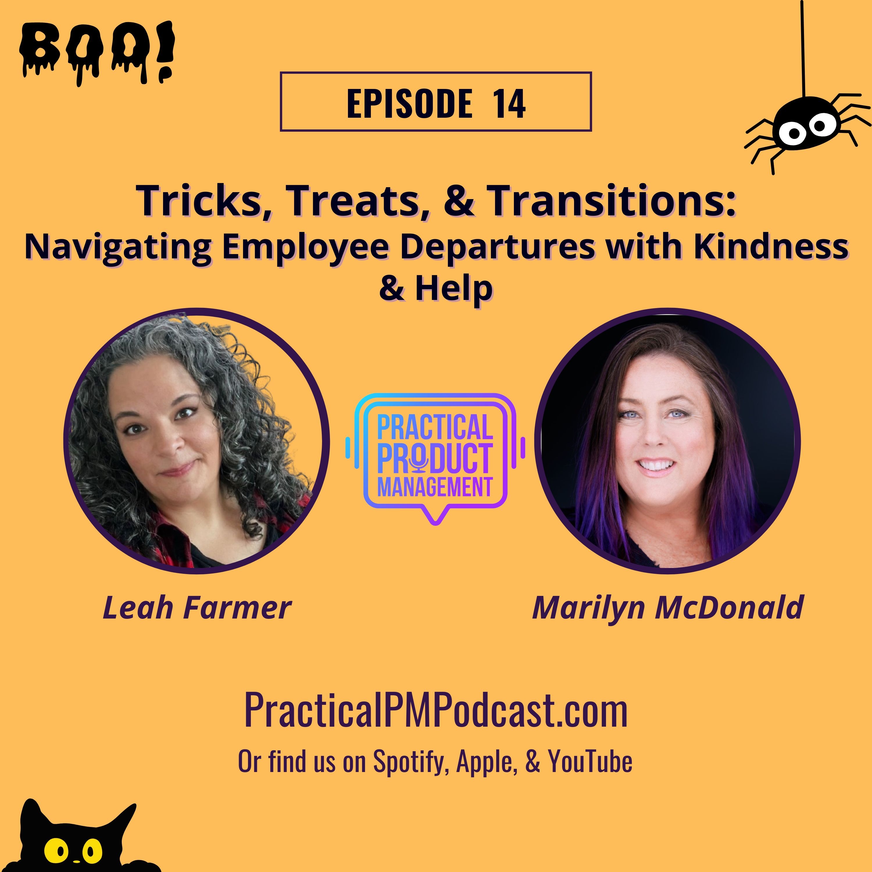 Practical Product Management