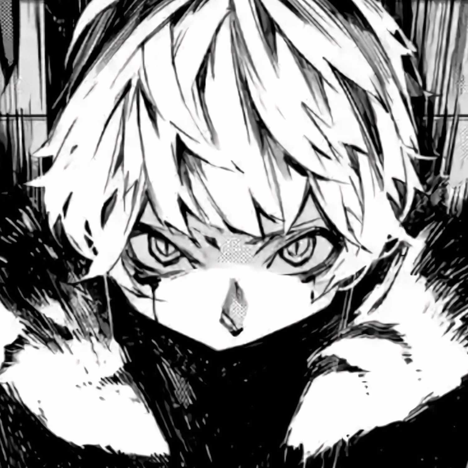 pe du fischi cover art