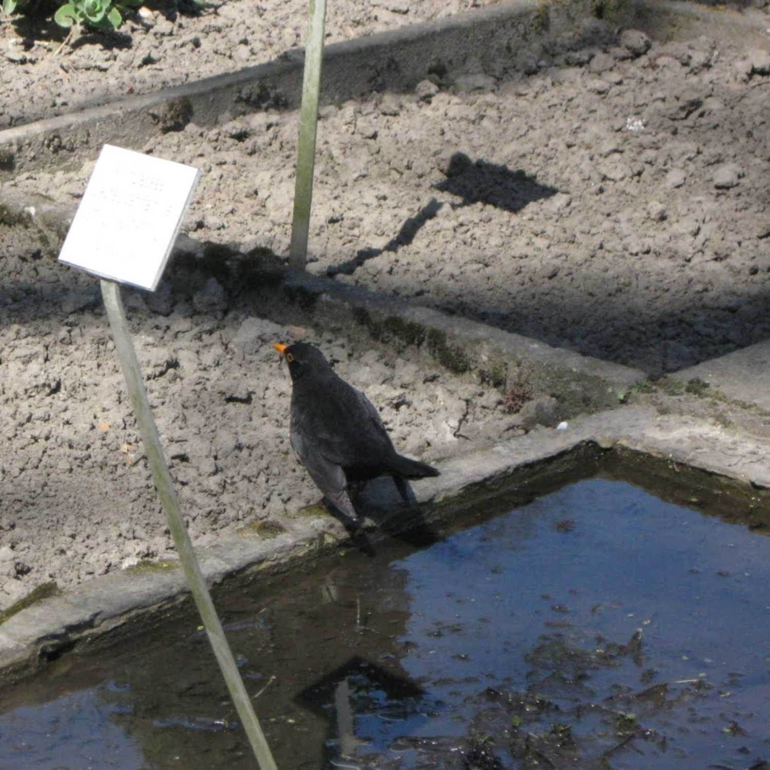 CO-Water Voice. Turning Water Conflicts into Co-productions