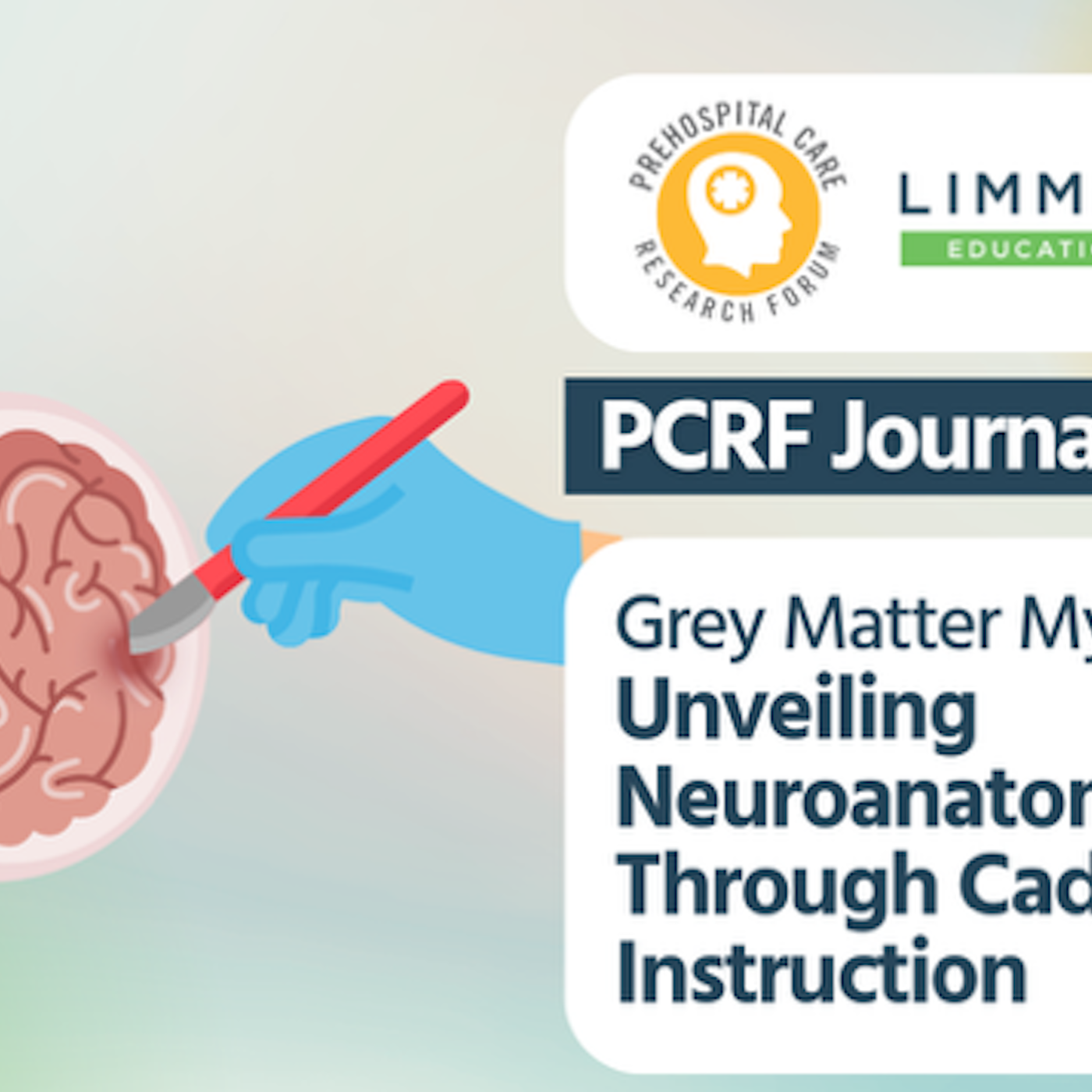 Grey Matter Mysteries: Unveiling Neuroanatomy Through Cadaver Instruction