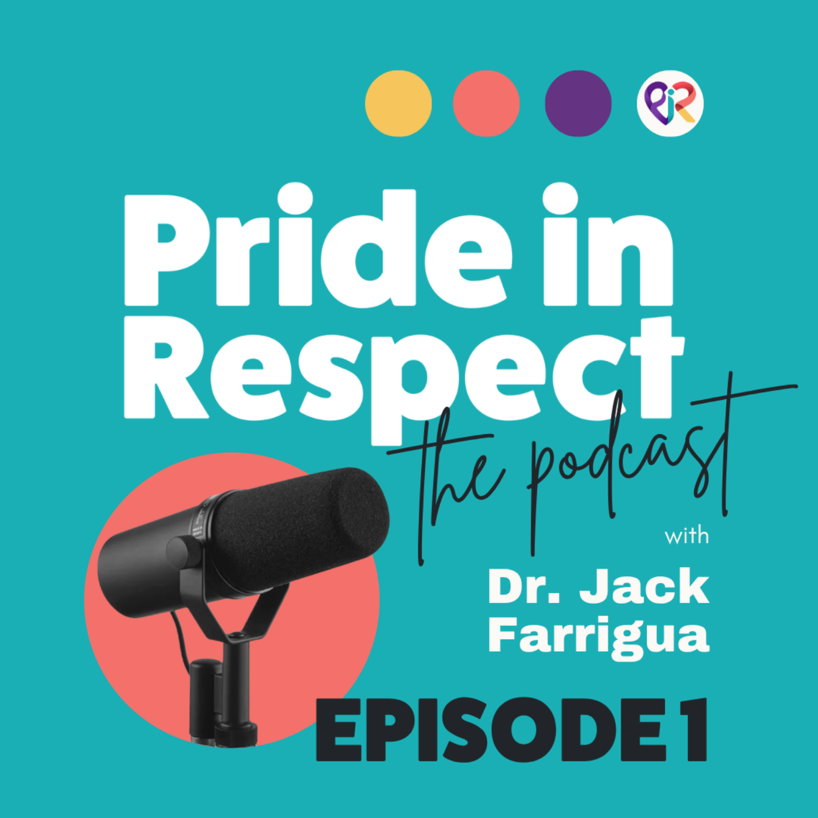 Disrupting Invisibility, why LGBTIQA+ violence goes unrecognised episode artwork