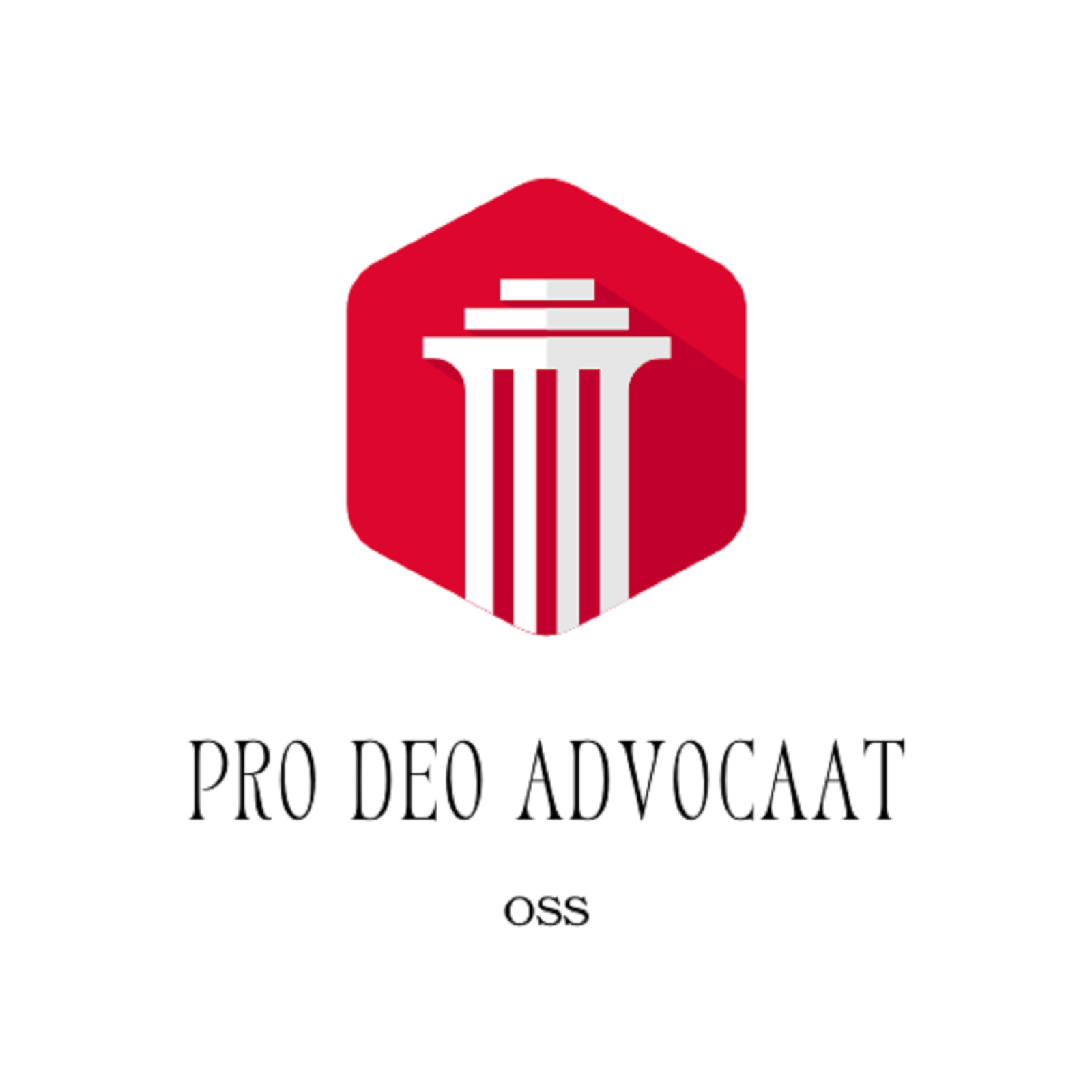 Pro Deo Advocaat Oss