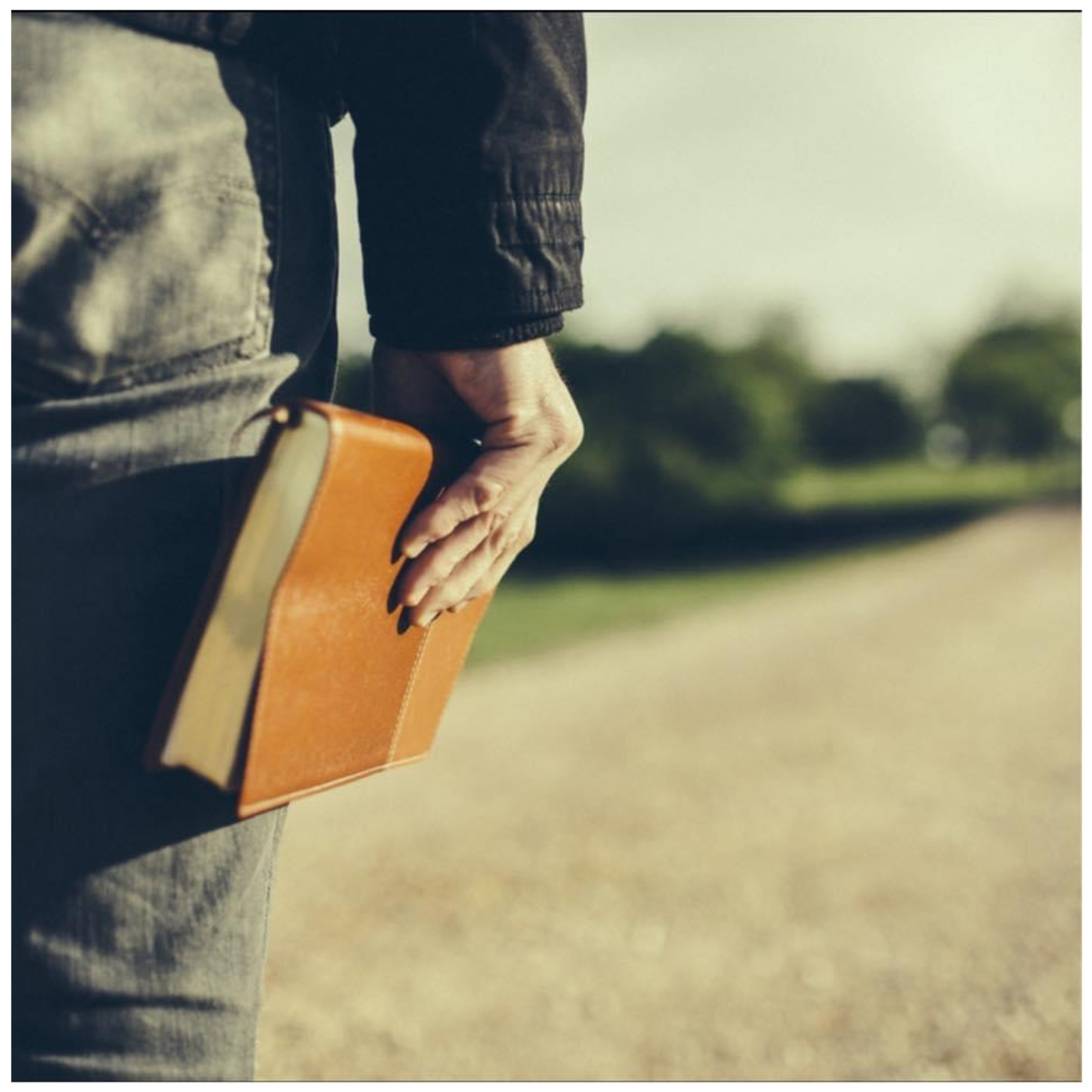 Proclamando el Testimonio de Dios cover art