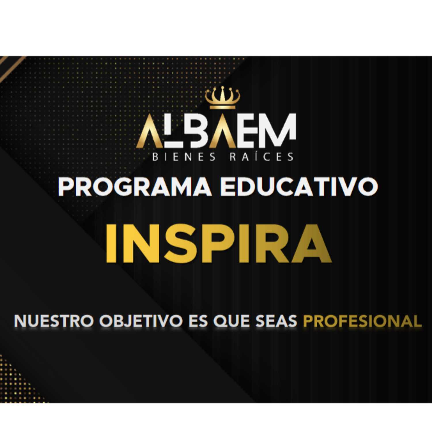 Programa Educativo Inspira podcast artwork