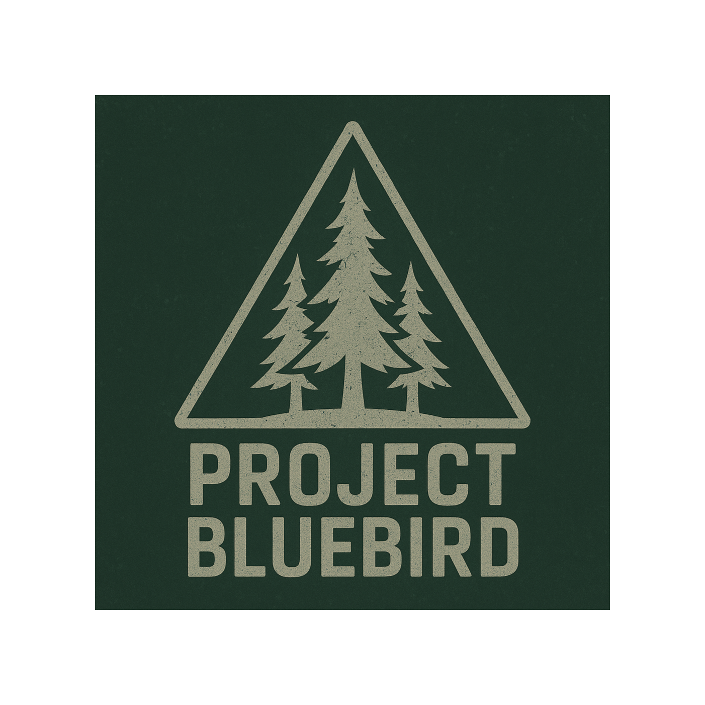 Project Bluebird podcast artwork
