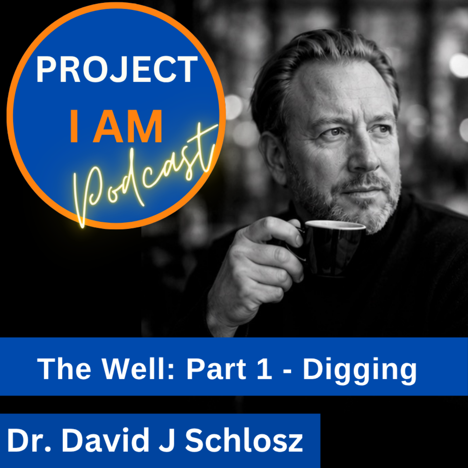 The Well (1 of 3): Digging. Why Your Healing Begins with You episode artwork