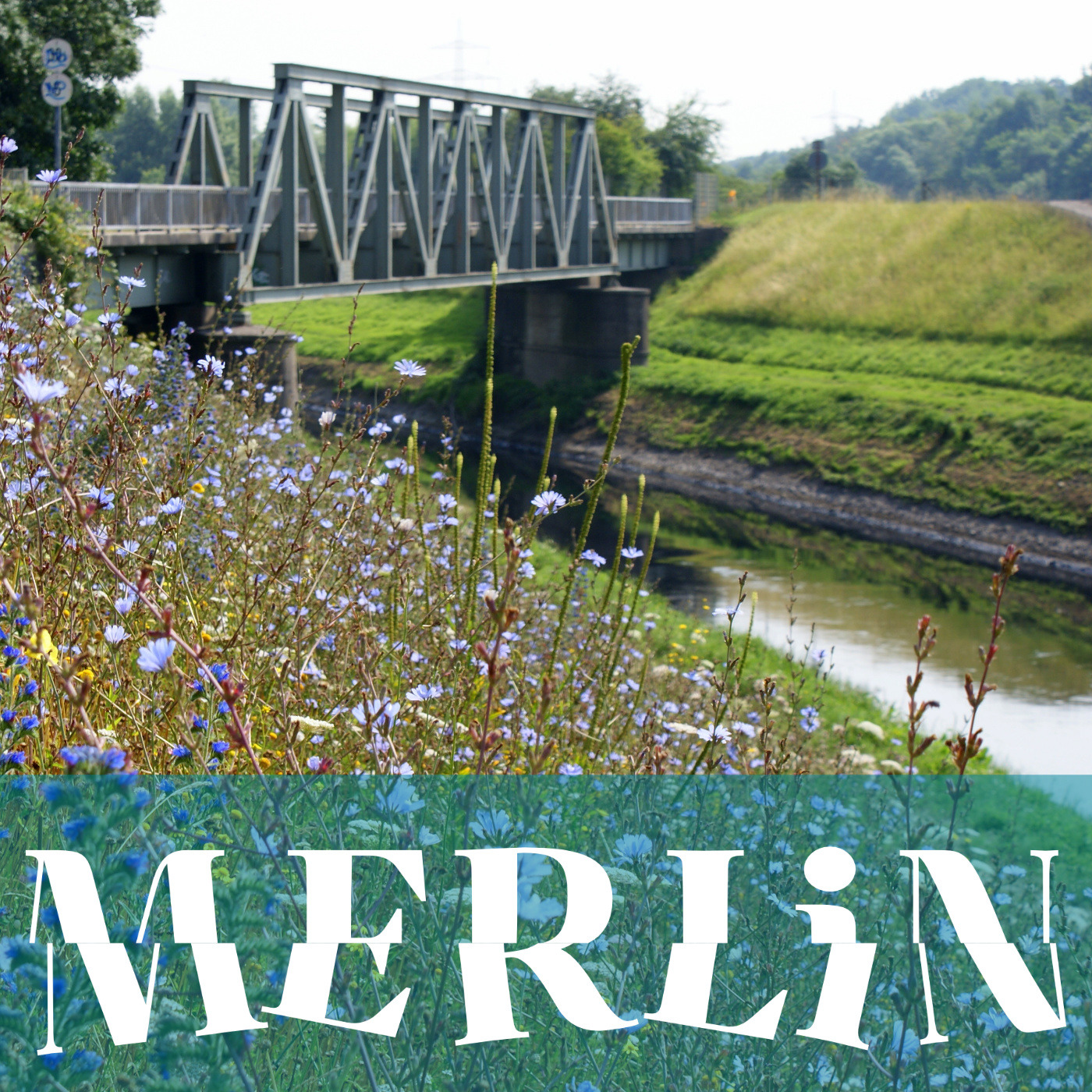 MERLIN Podcast: Bringing Europe’s freshwaters back to life