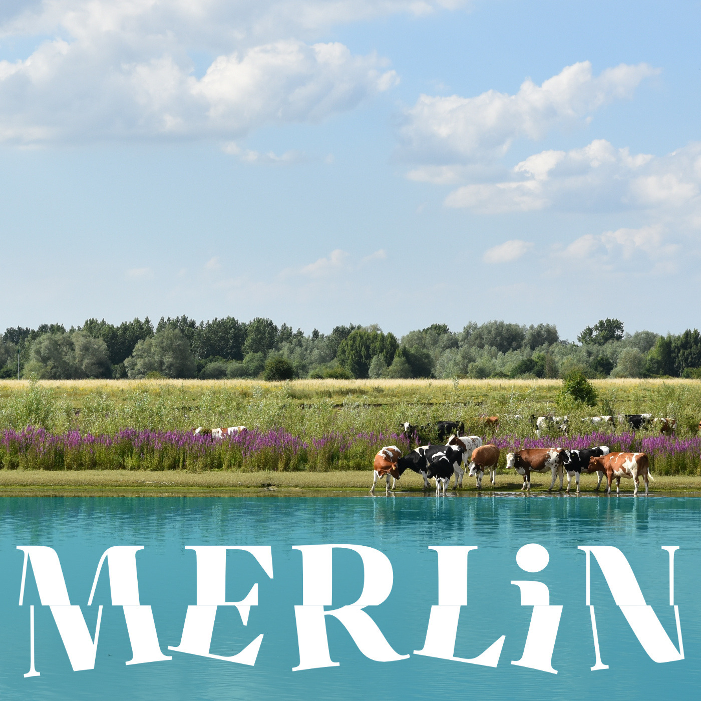 MERLIN Podcast: Bringing Europe’s freshwaters back to life