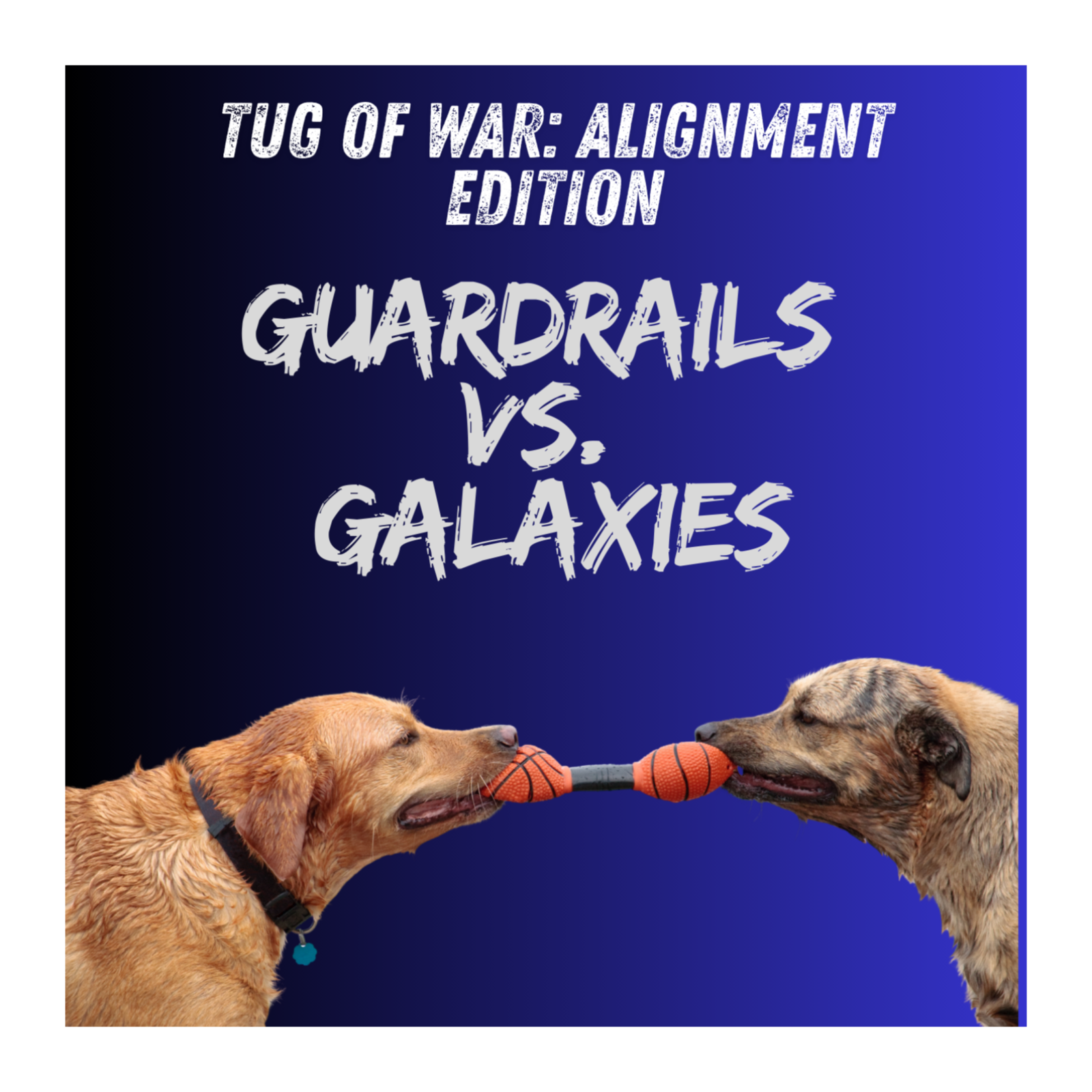 Project Design: The Good, The Bad and the Wild