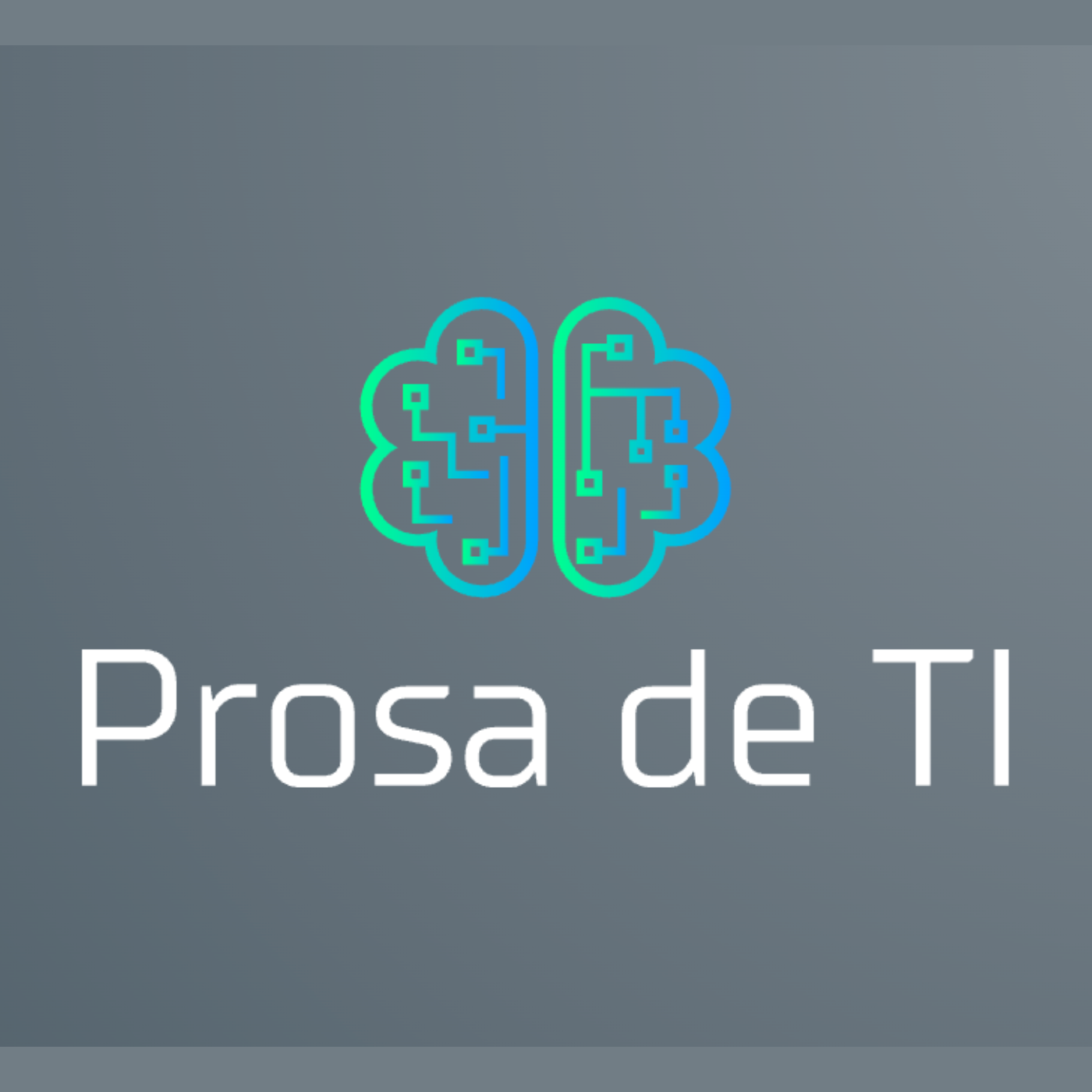 Prosa de TI