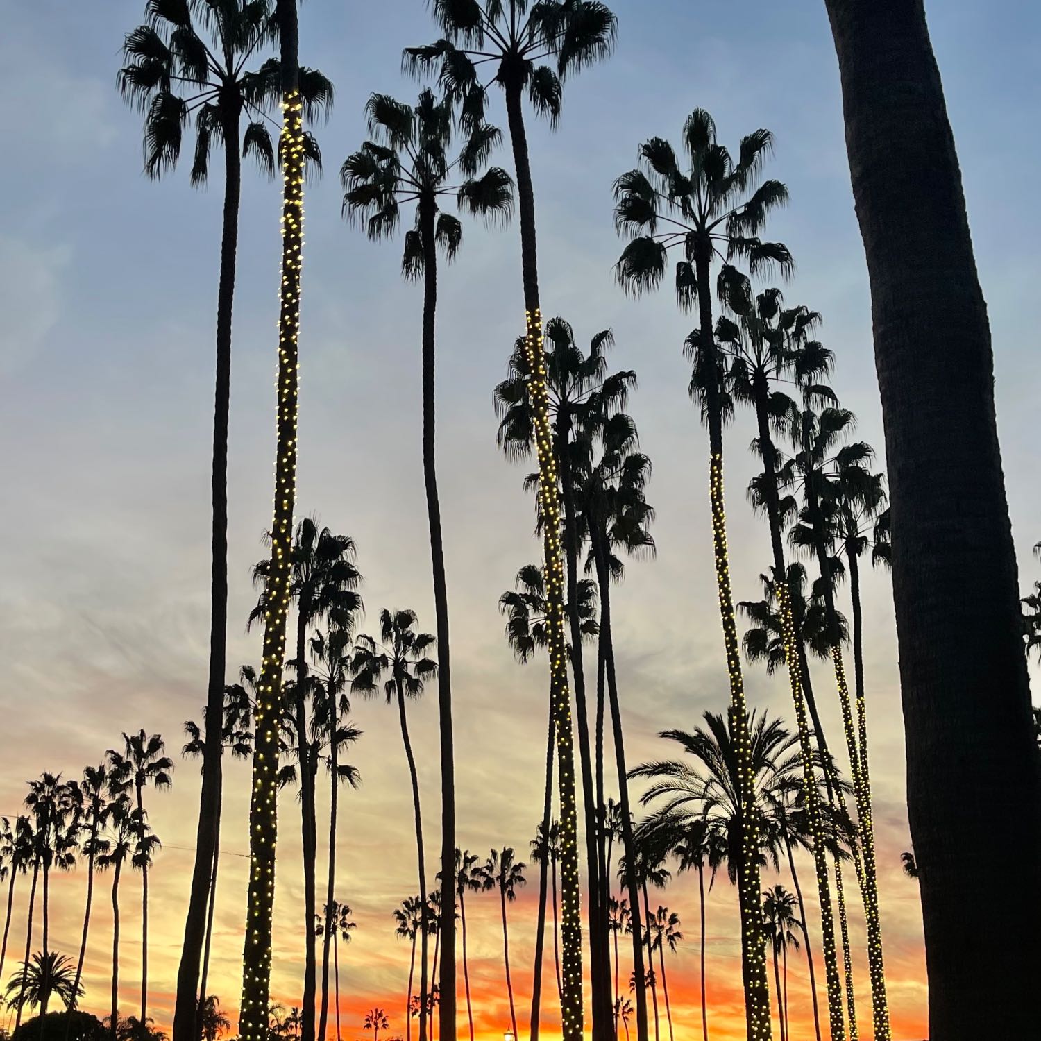 The Pros of San Diego