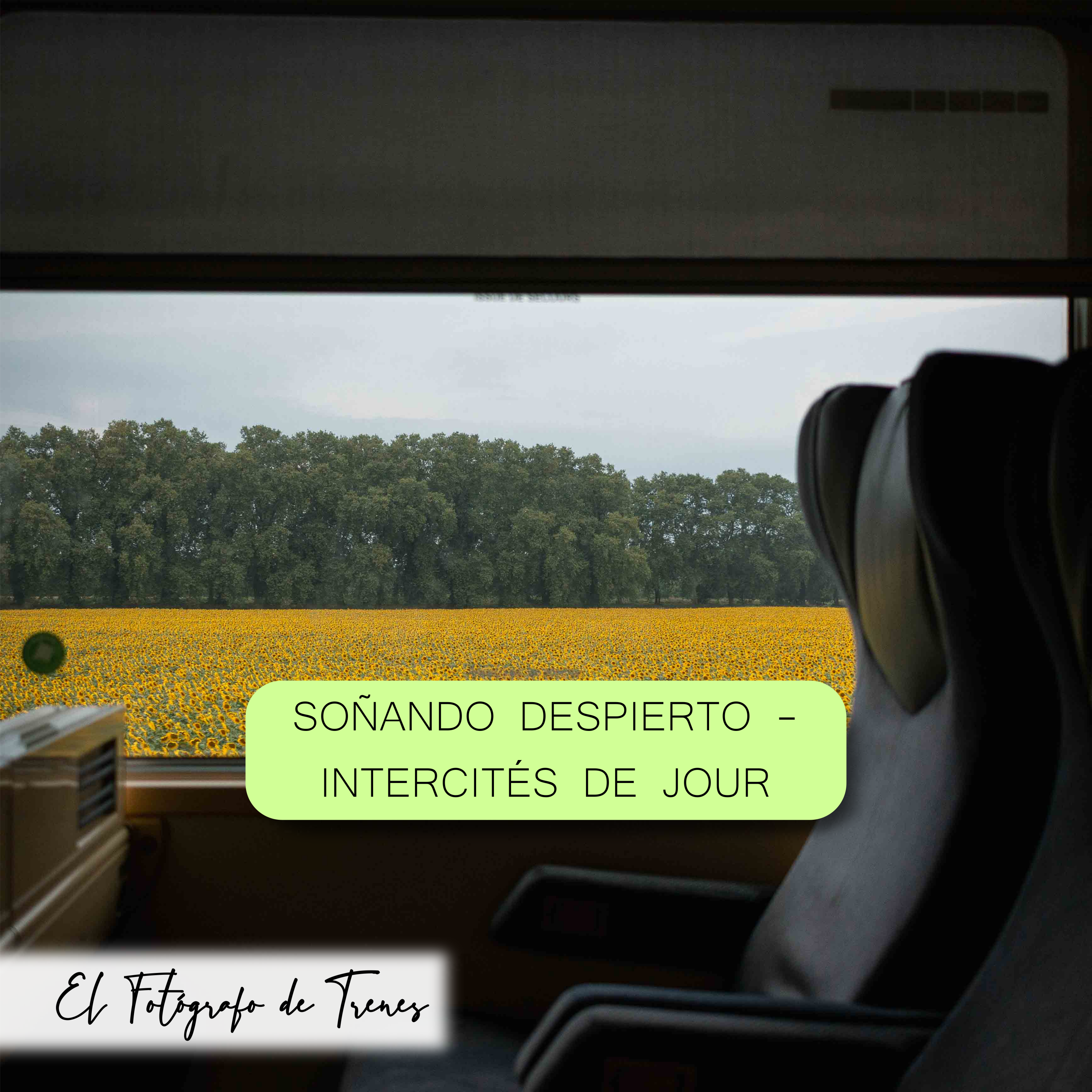 El tren, mi cámara y yo