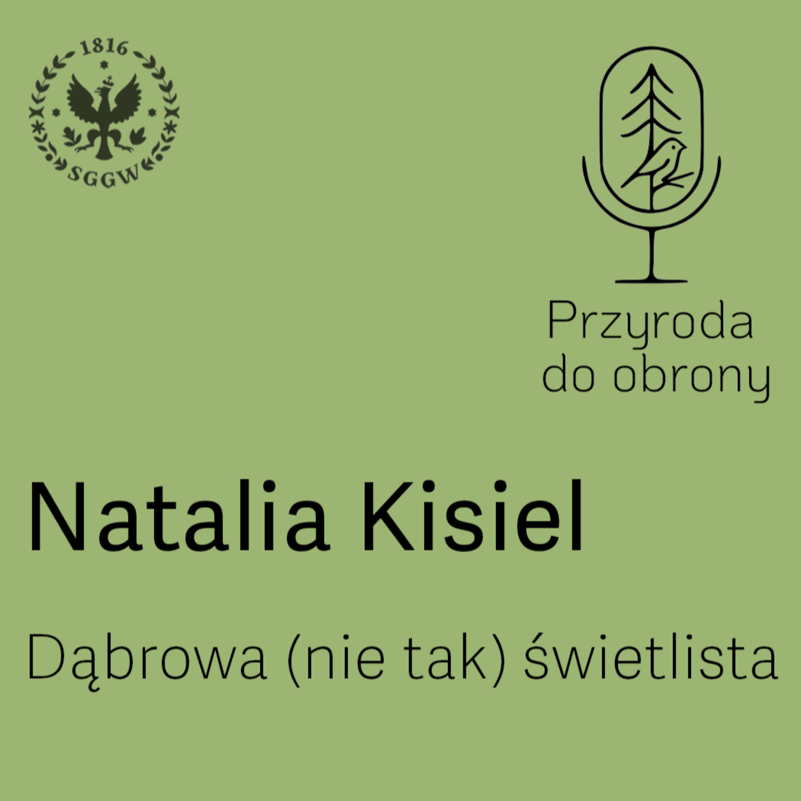 Dąbrowa (nie tak) świetlista episode artwork