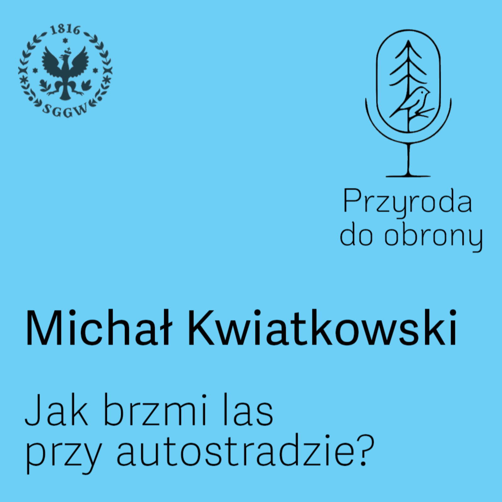 Jak brzmi las przy autostradzie? episode artwork