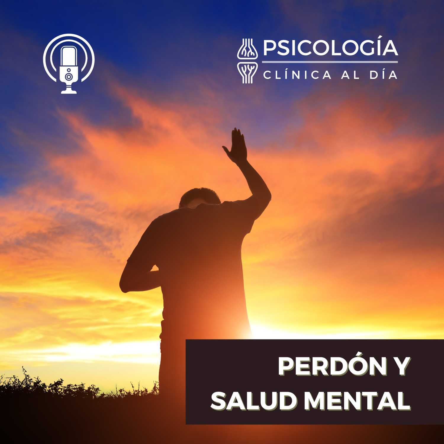 Psicología Clínica al Día