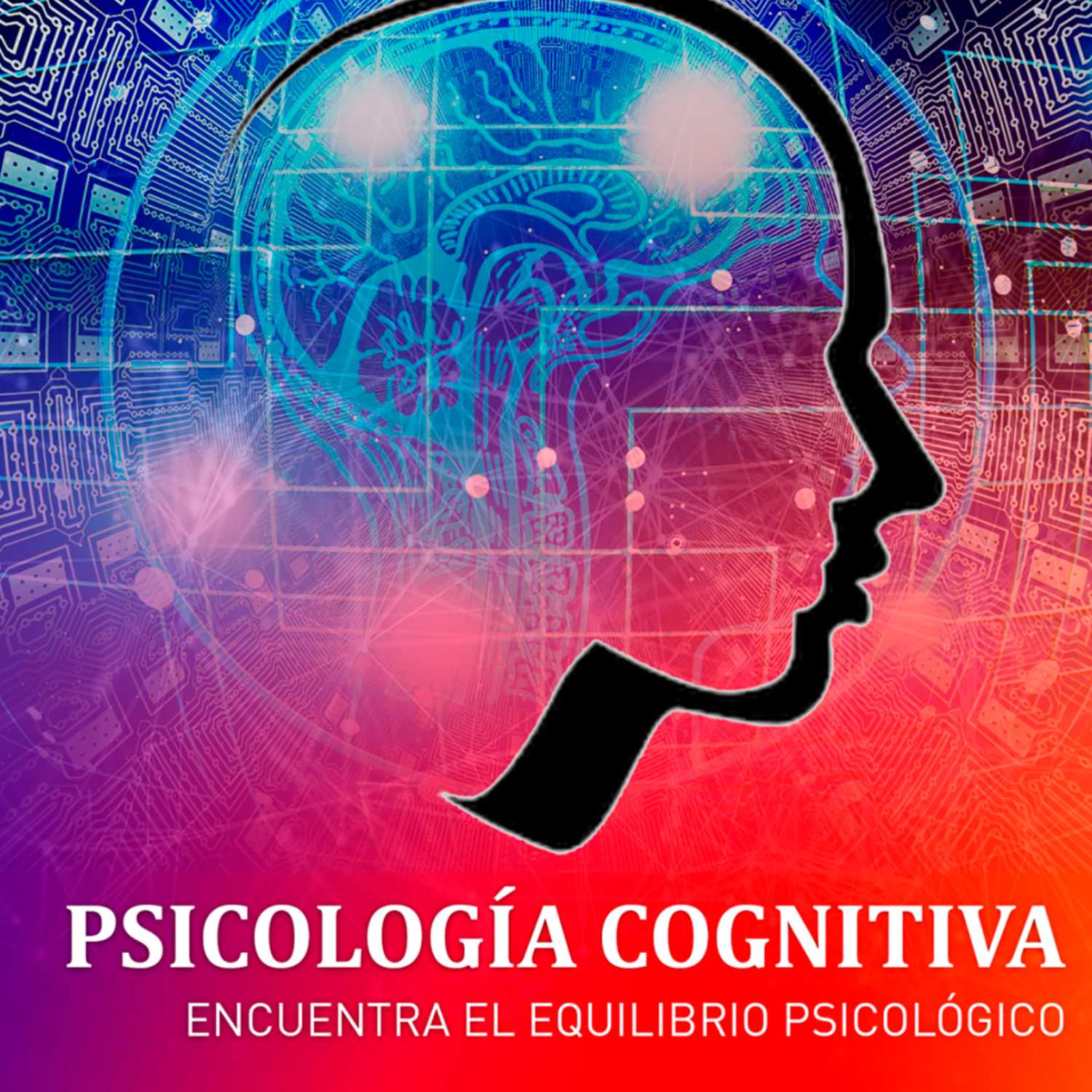 Psicología Cognitiva
