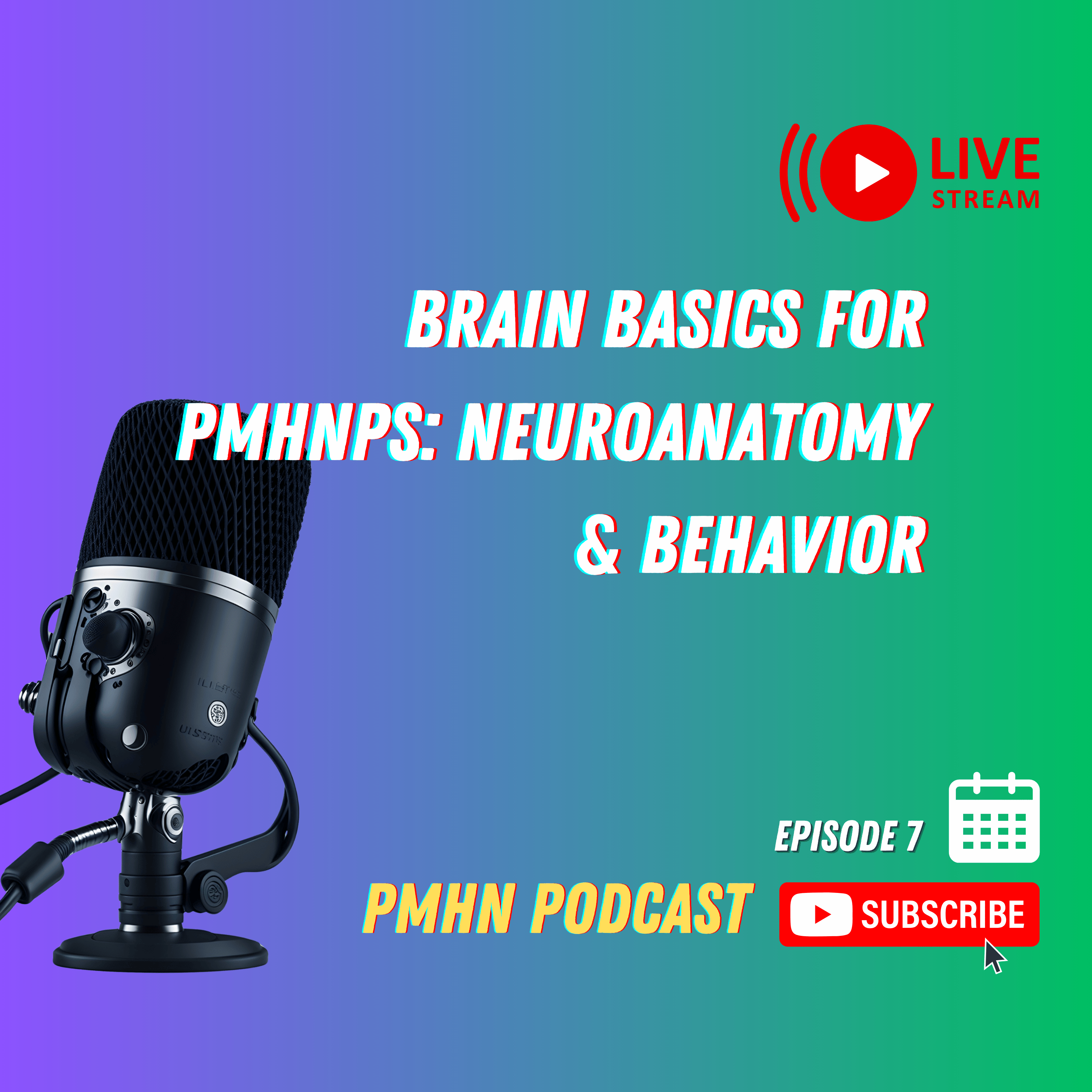 Brain Basics for PMHNPs: Neuroanatomy & Behavior episode artwork