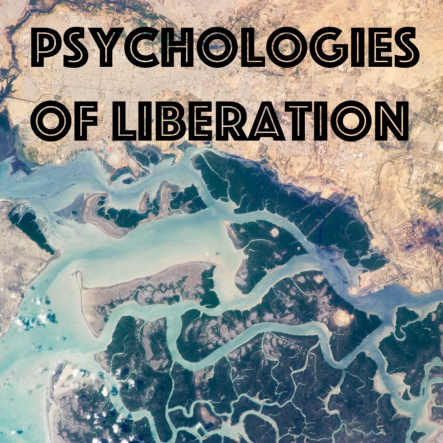 Psychologies of Liberation Artwork