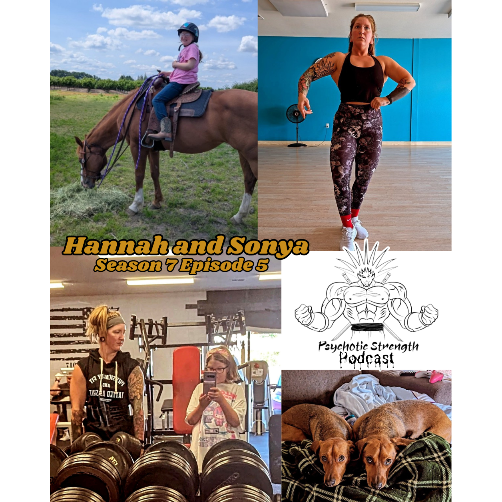Hannah the Horse Tamer and Sweet Sonya episode artwork