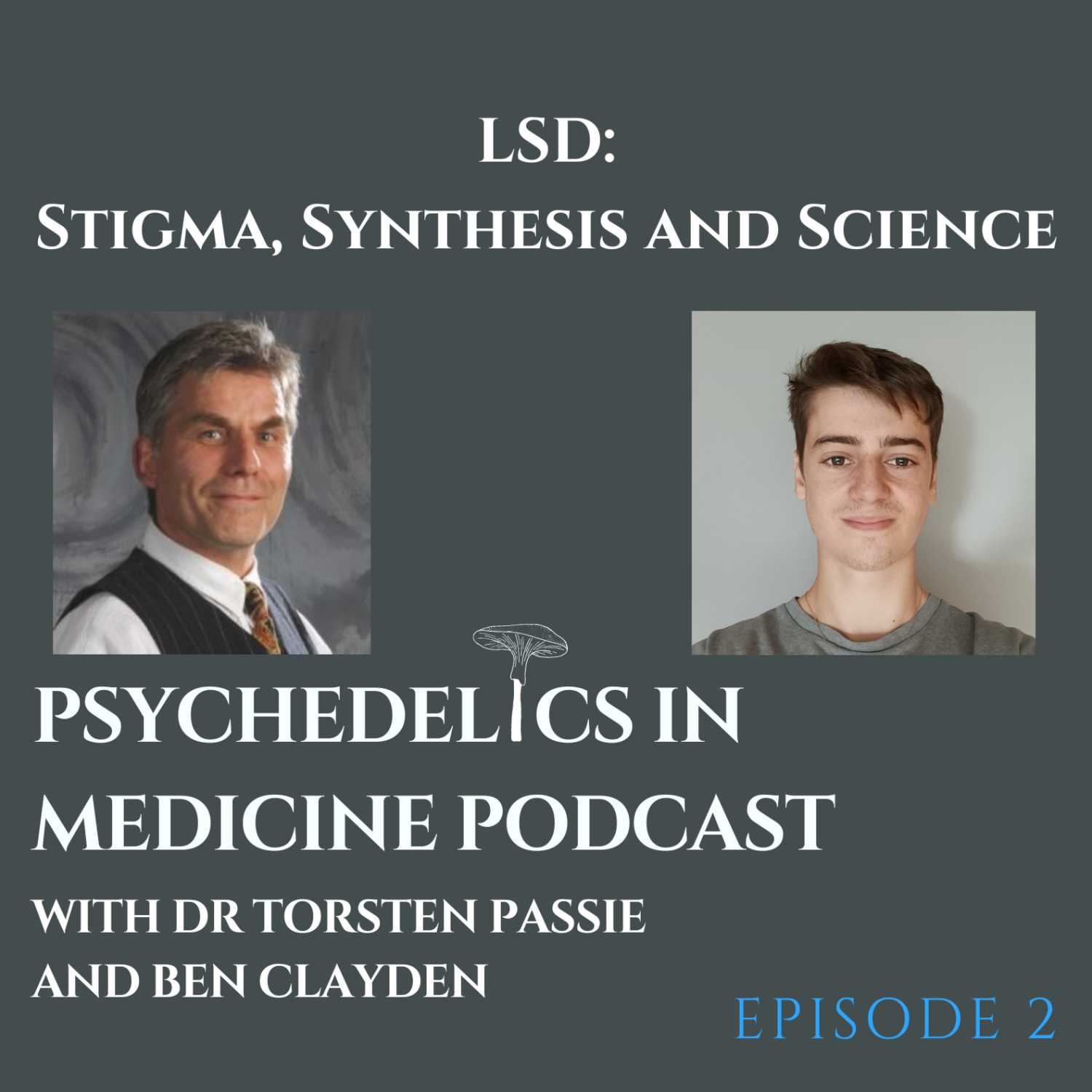 Lsd Stigma Synthesis And Science With Dr Torsten Passie And Ben Clayden Pimpod2 Psychedelic 2867