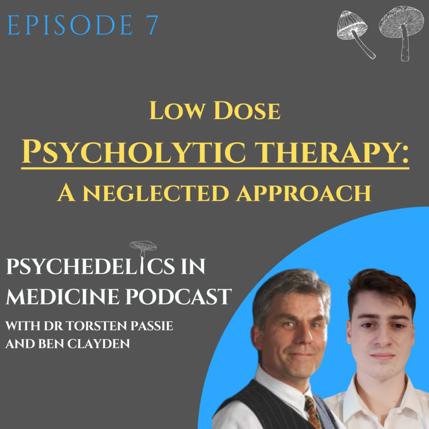 Psychedelic Frontiers: Bridging Science, Medicine and Consciousness