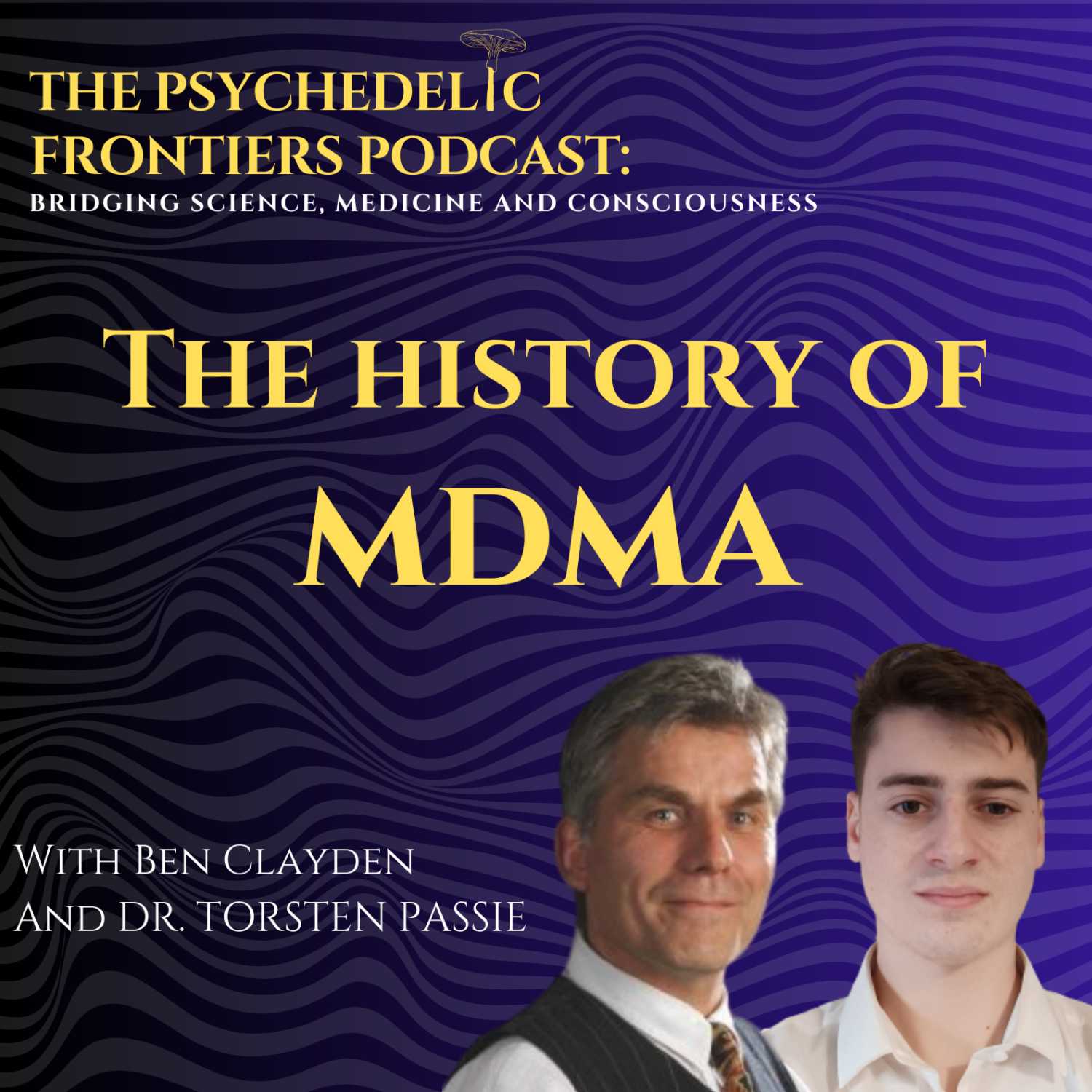 Psychedelic Frontiers: Bridging Science, Medicine and Consciousness