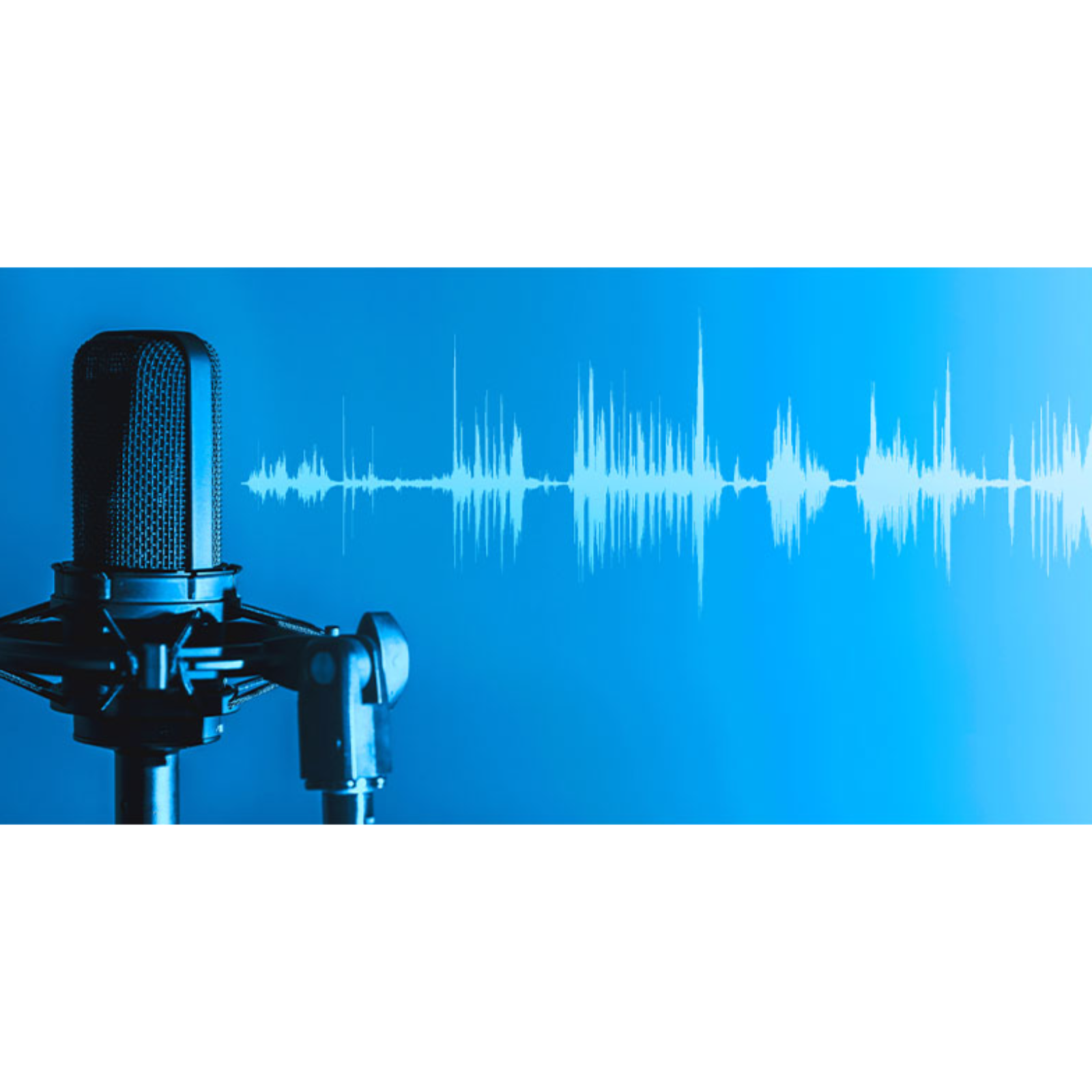 PTHV Podcast