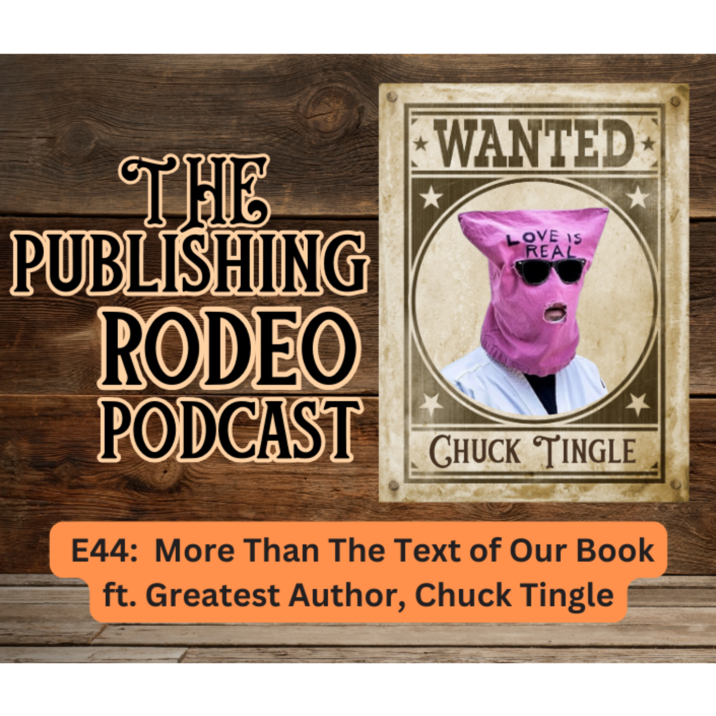 Publishing Rodeo: The Good, The Bad, and the Bloody Ugly