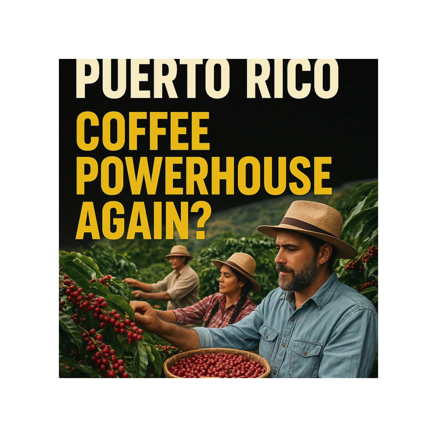 Puerto Rico Open Your Eyes