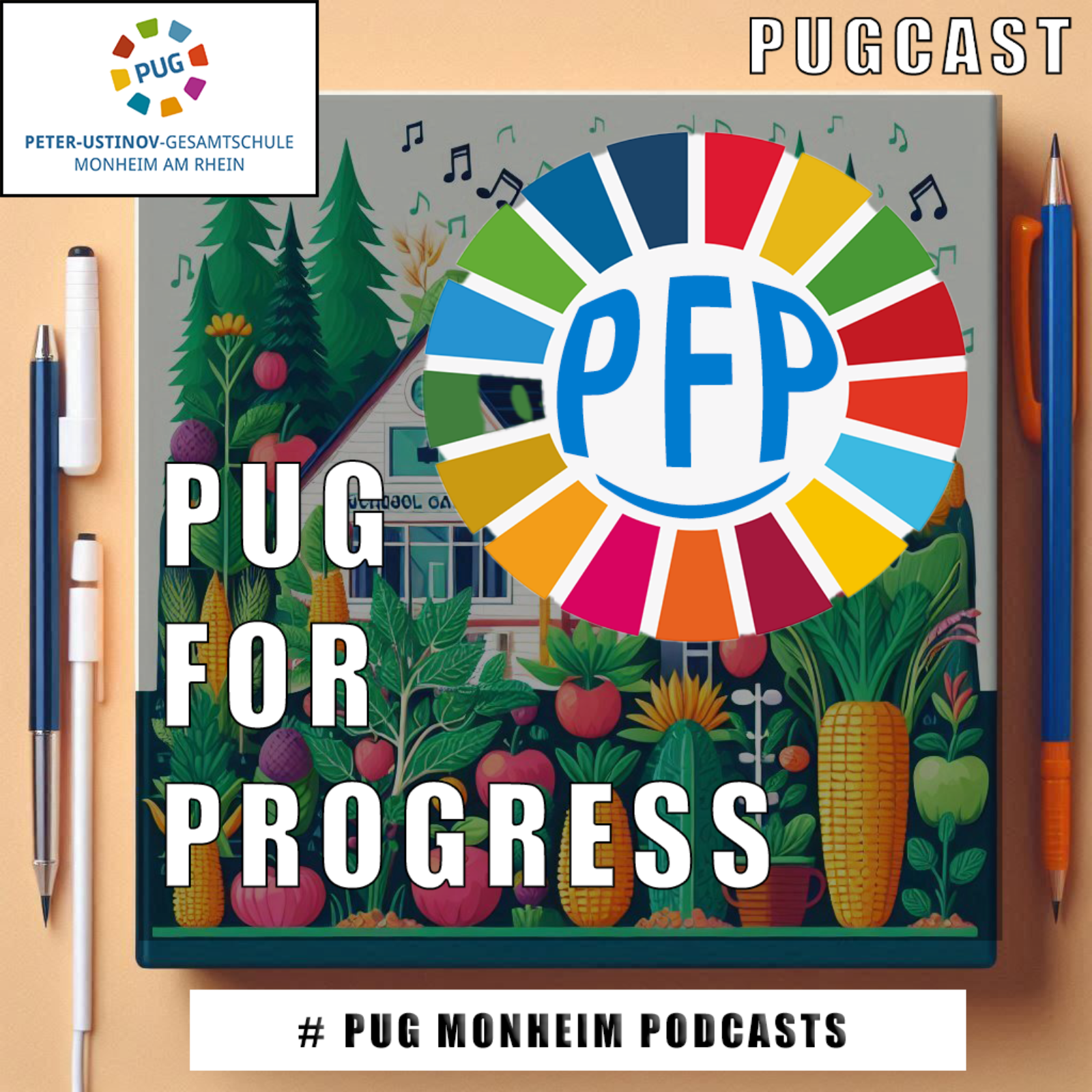 PfP - PUG for Progress #2: "Die UN-Nachhaltigkeitsziele – Ziel 17 episode artwork
