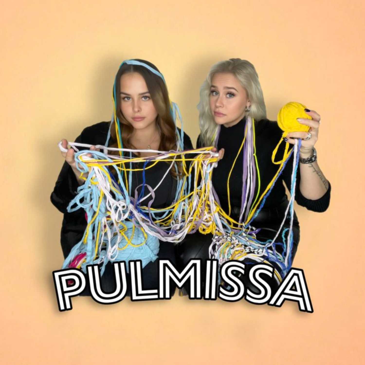 Pulmissa