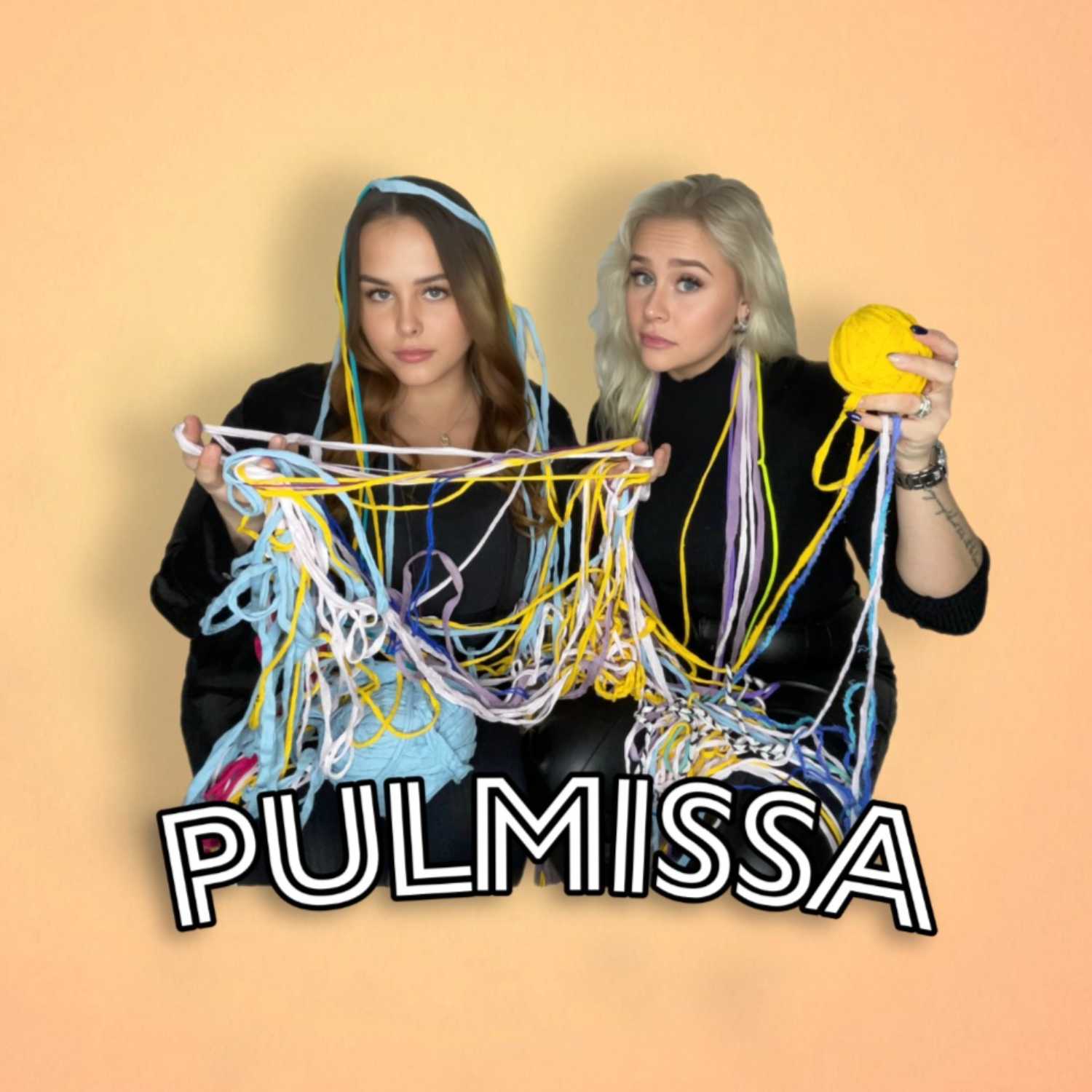 Pulmissa