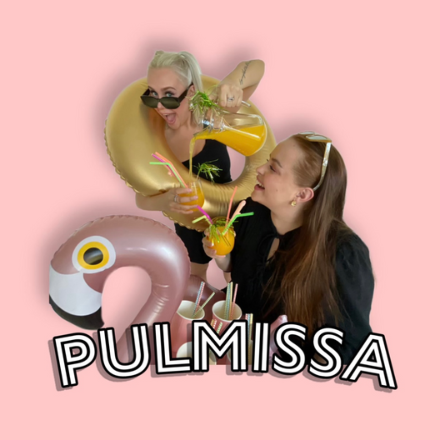 Pulmissa