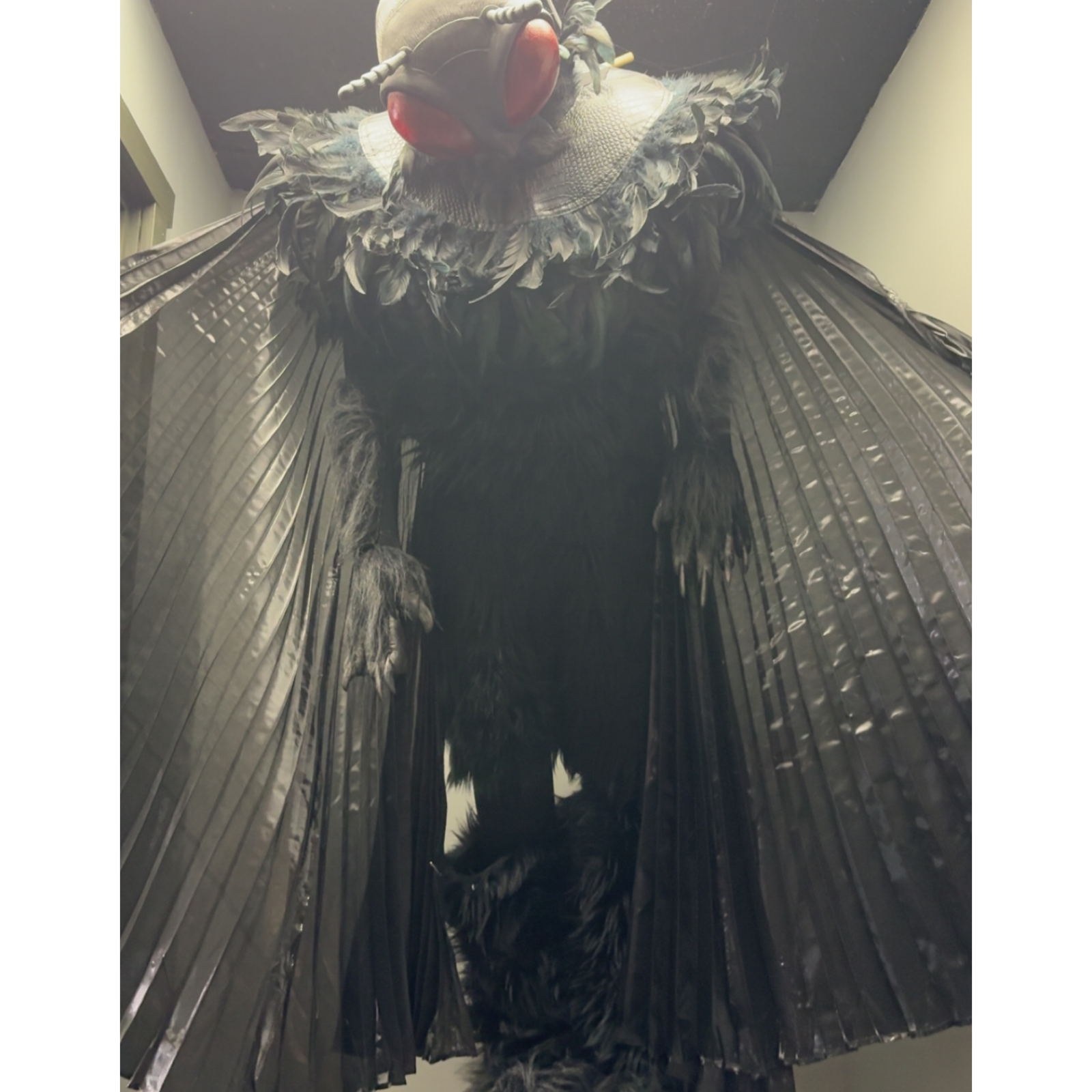 The Mothman part 1